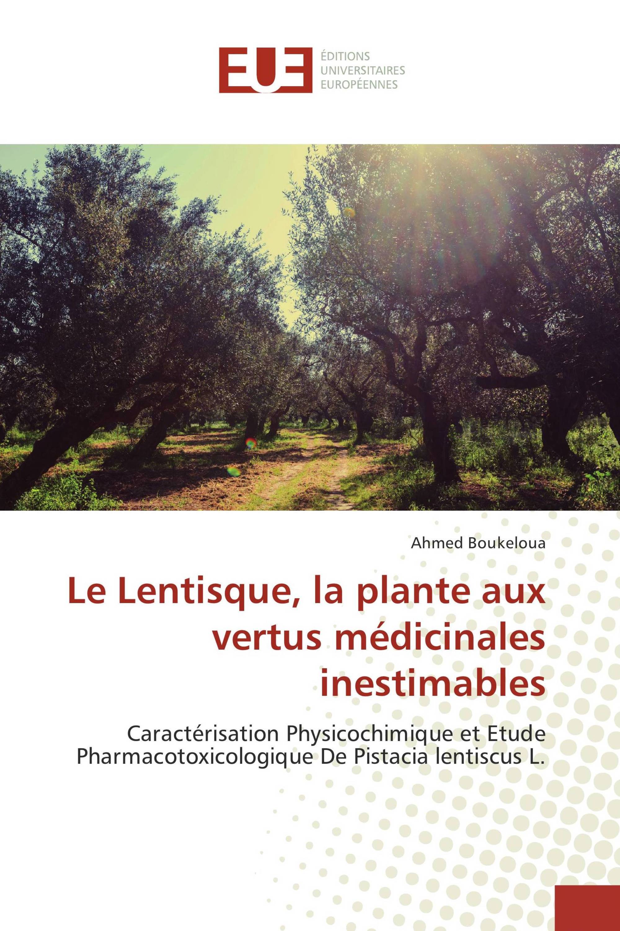 Le Lentisque, la plante aux vertus médicinales inestimables