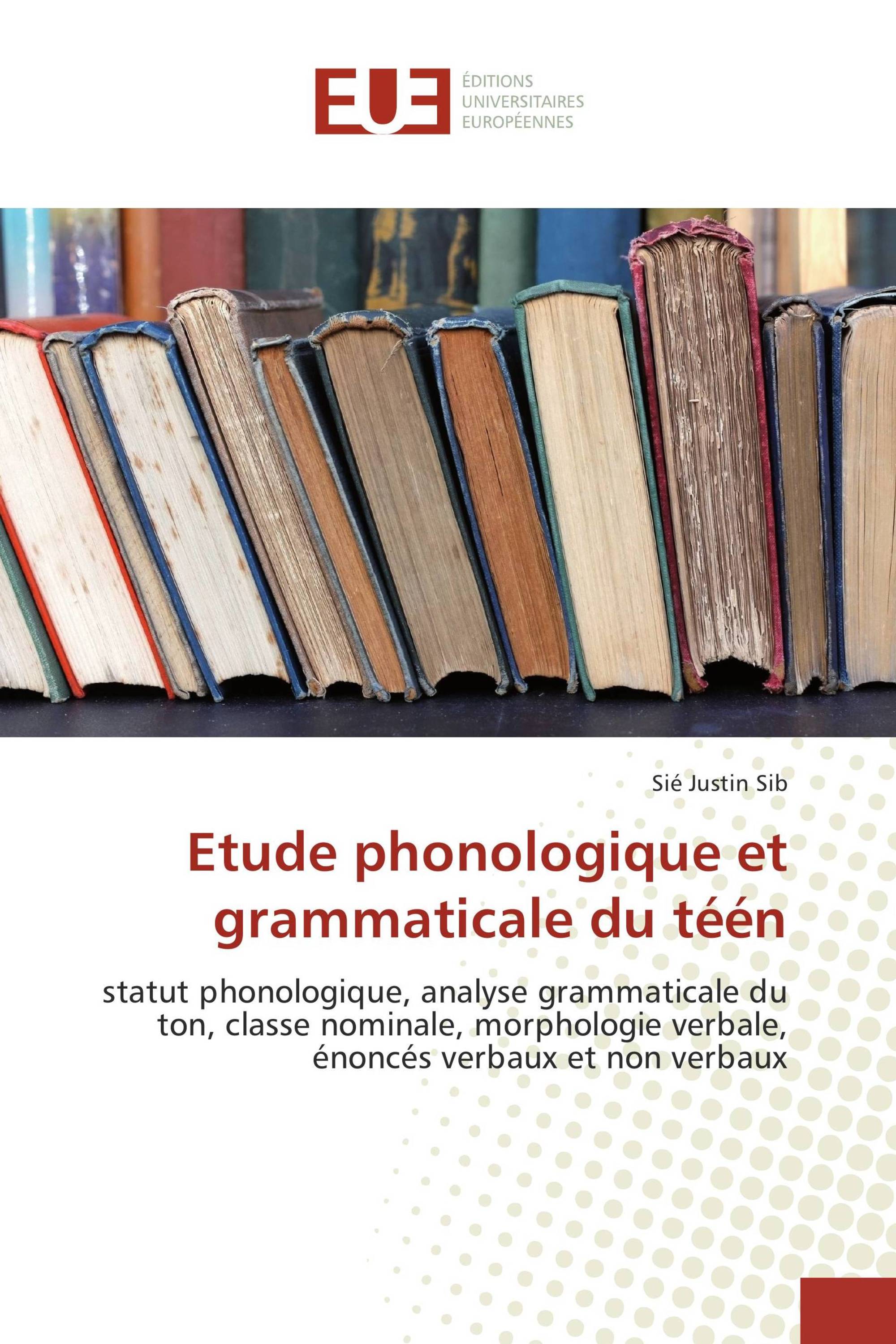 Etude phonologique et grammaticale du téén