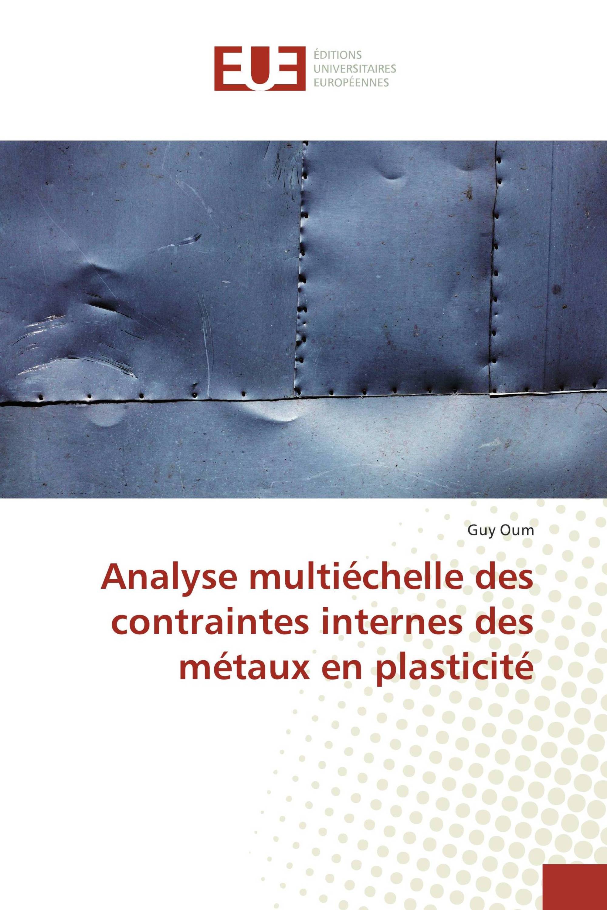 Analyse multiéchelle des contraintes internes des métaux en plasticité