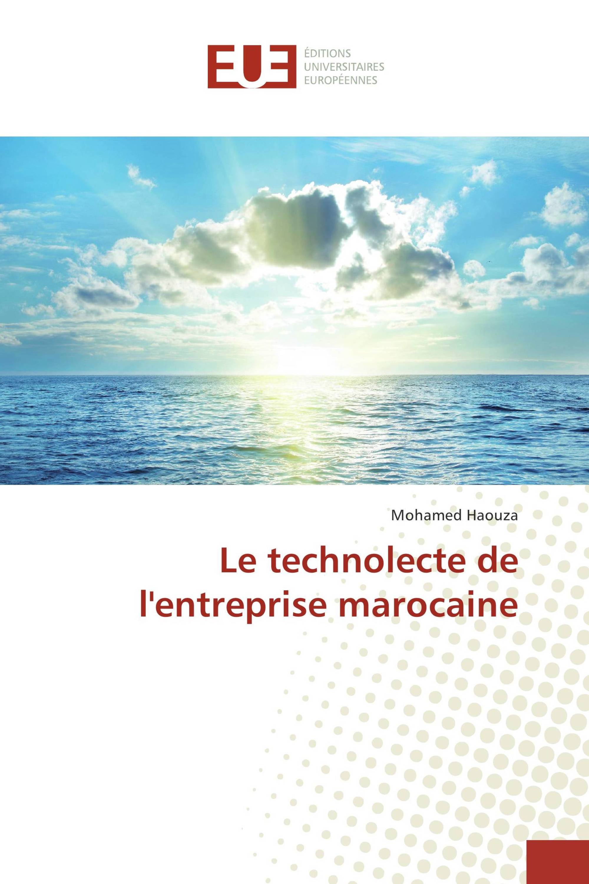 Le technolecte de l'entreprise marocaine