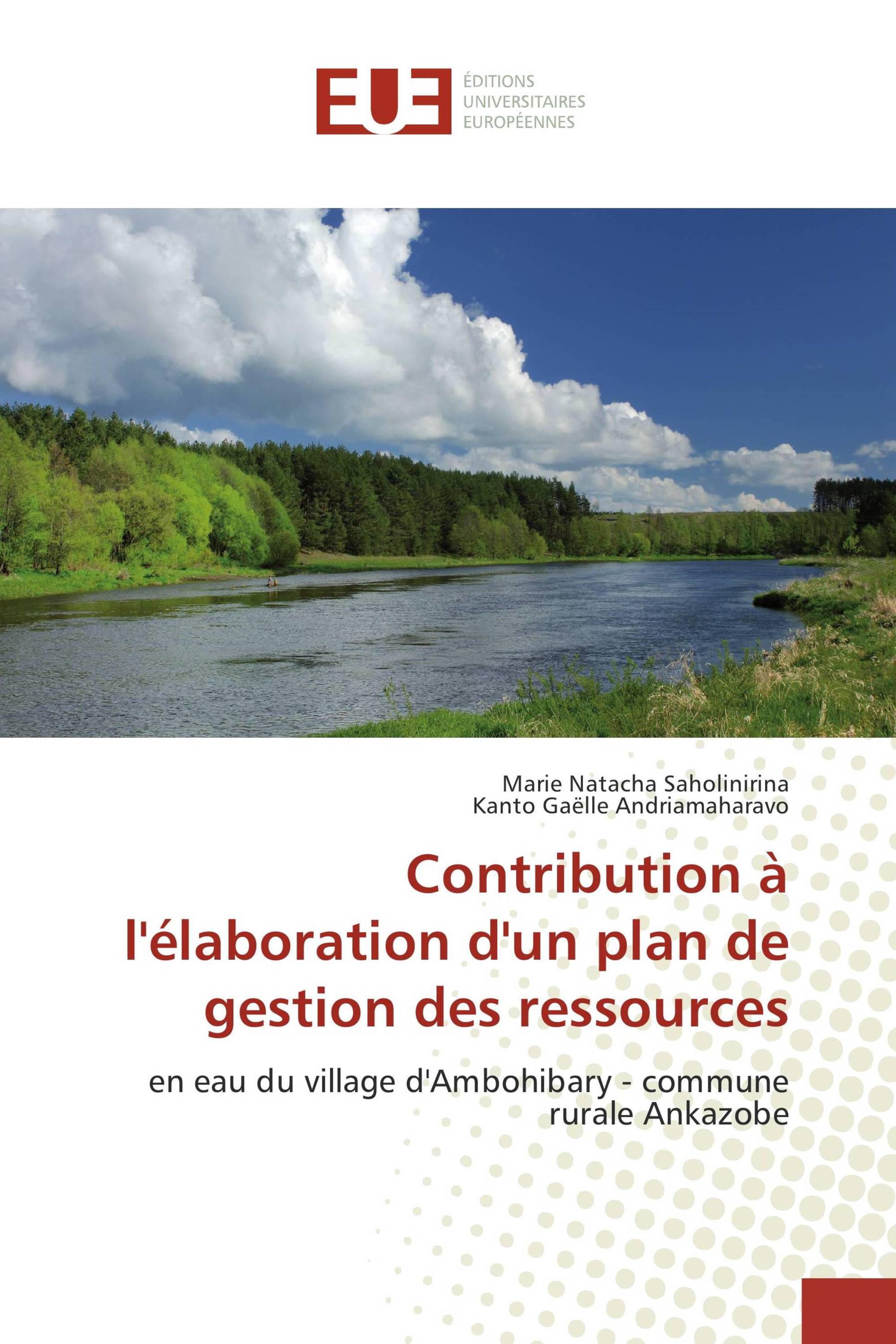 Contribution à l'élaboration d'un plan de gestion des ressources