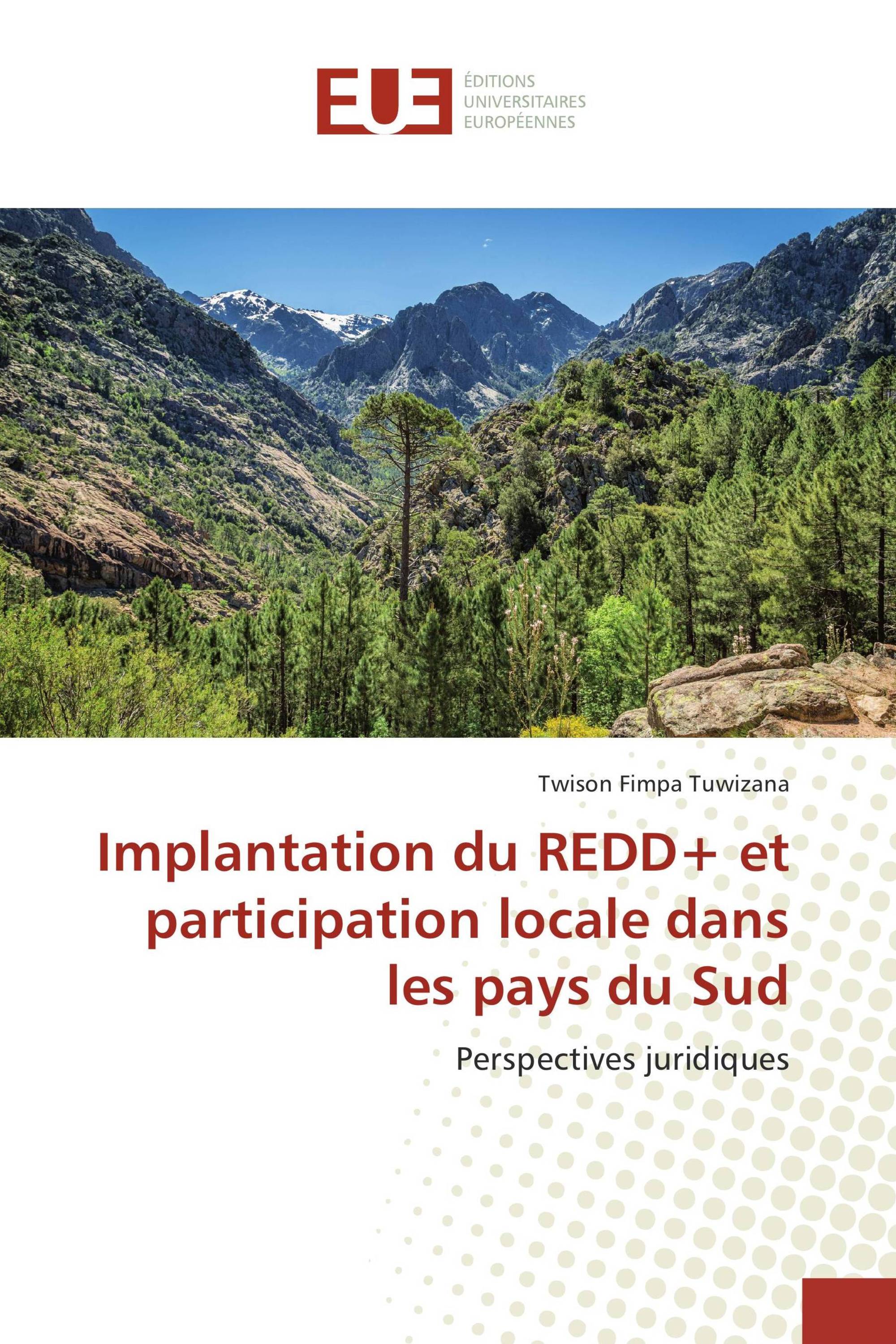 Implantation du REDD+ et participation locale dans les pays du Sud