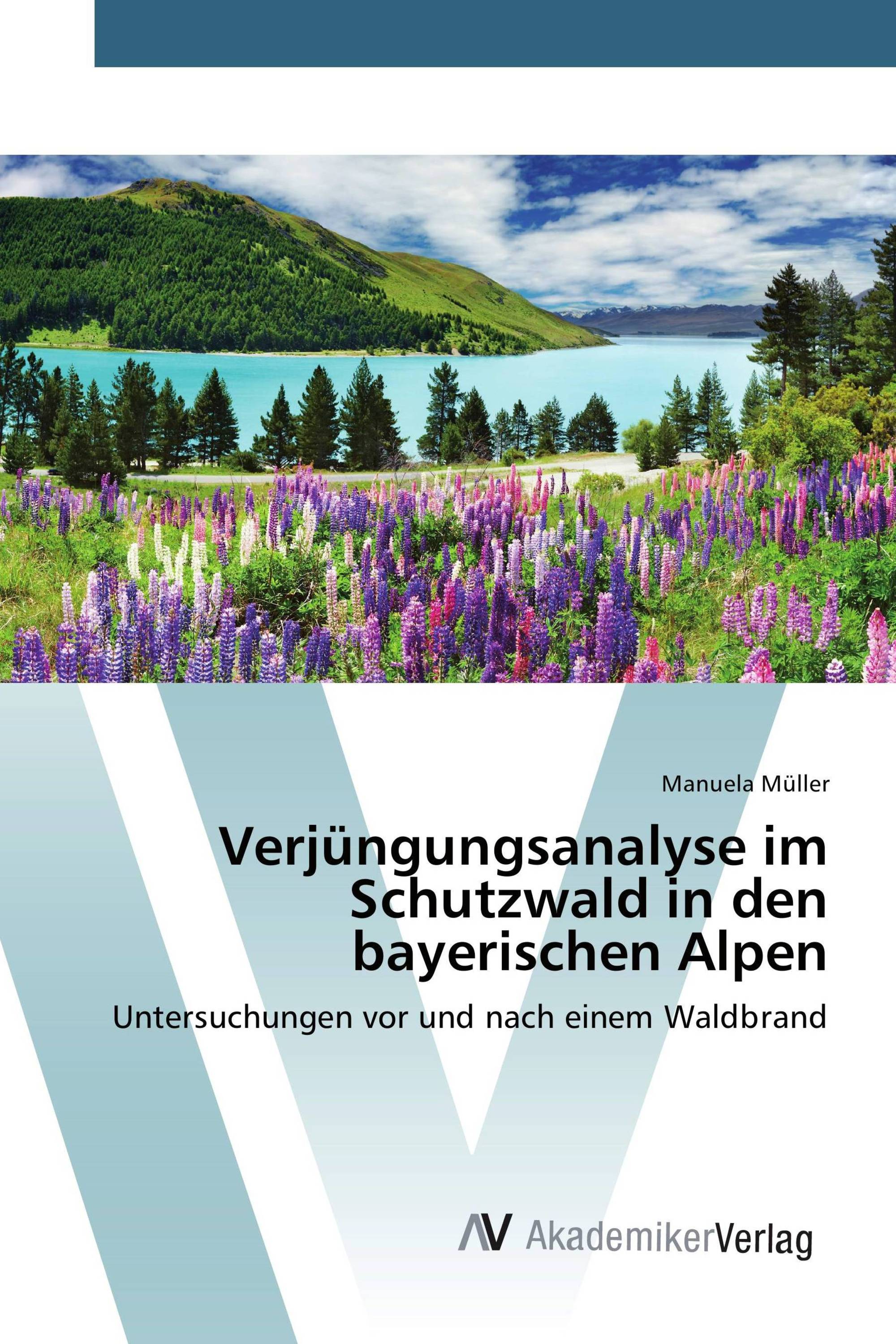 Verjüngungsanalyse im Schutzwald in den bayerischen Alpen