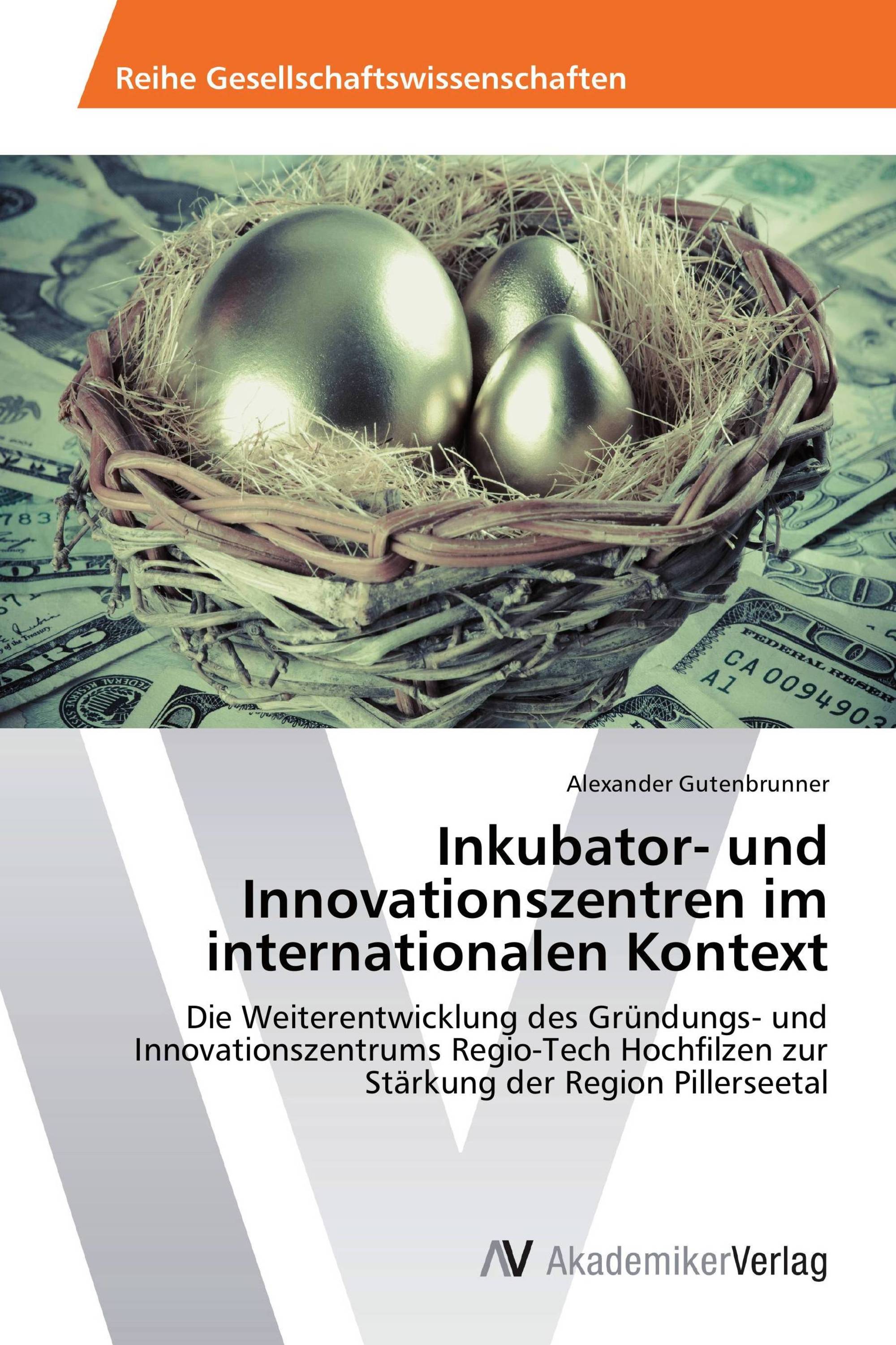 Inkubator- und Innovationszentren im internationalen Kontext