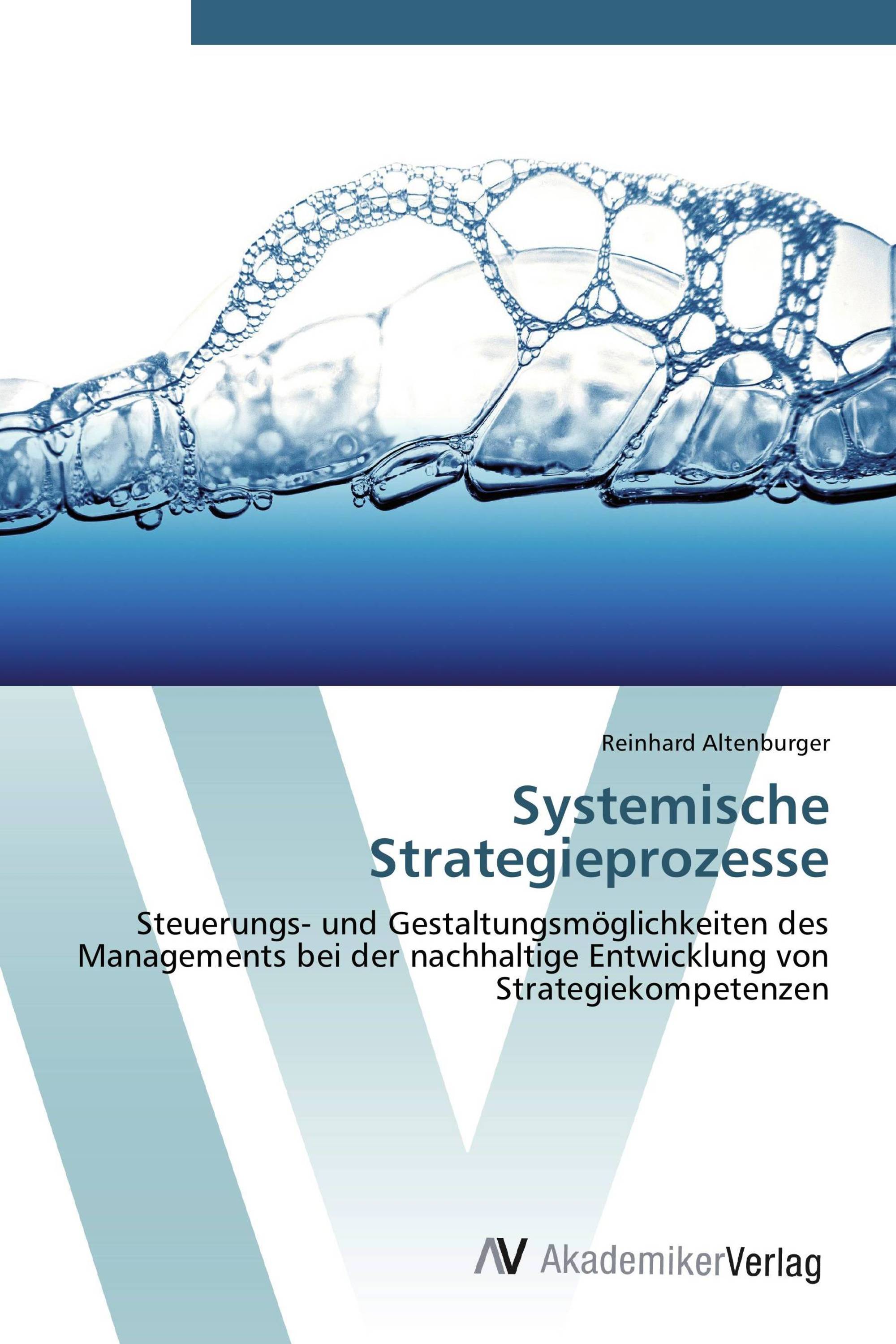 Systemische Strategieprozesse