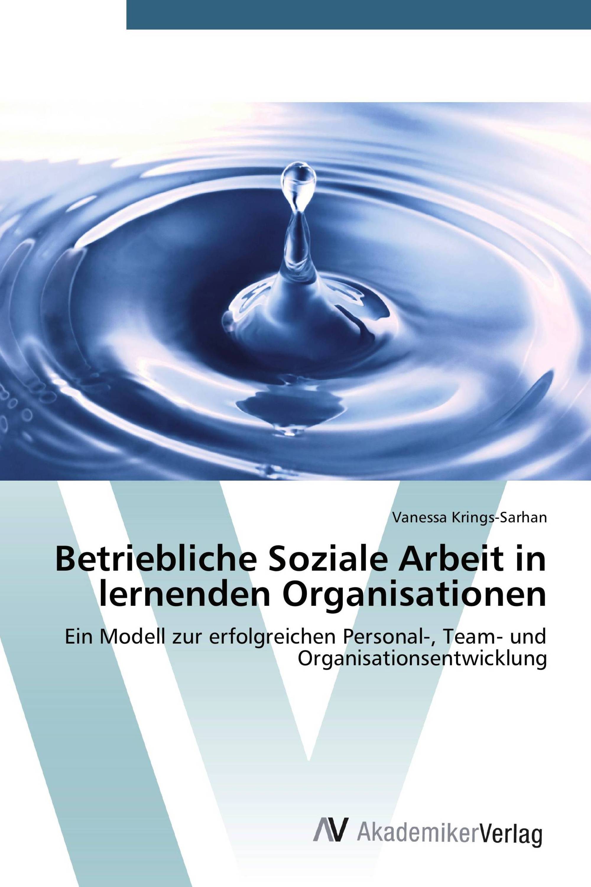 Betriebliche Soziale Arbeit in lernenden Organisationen