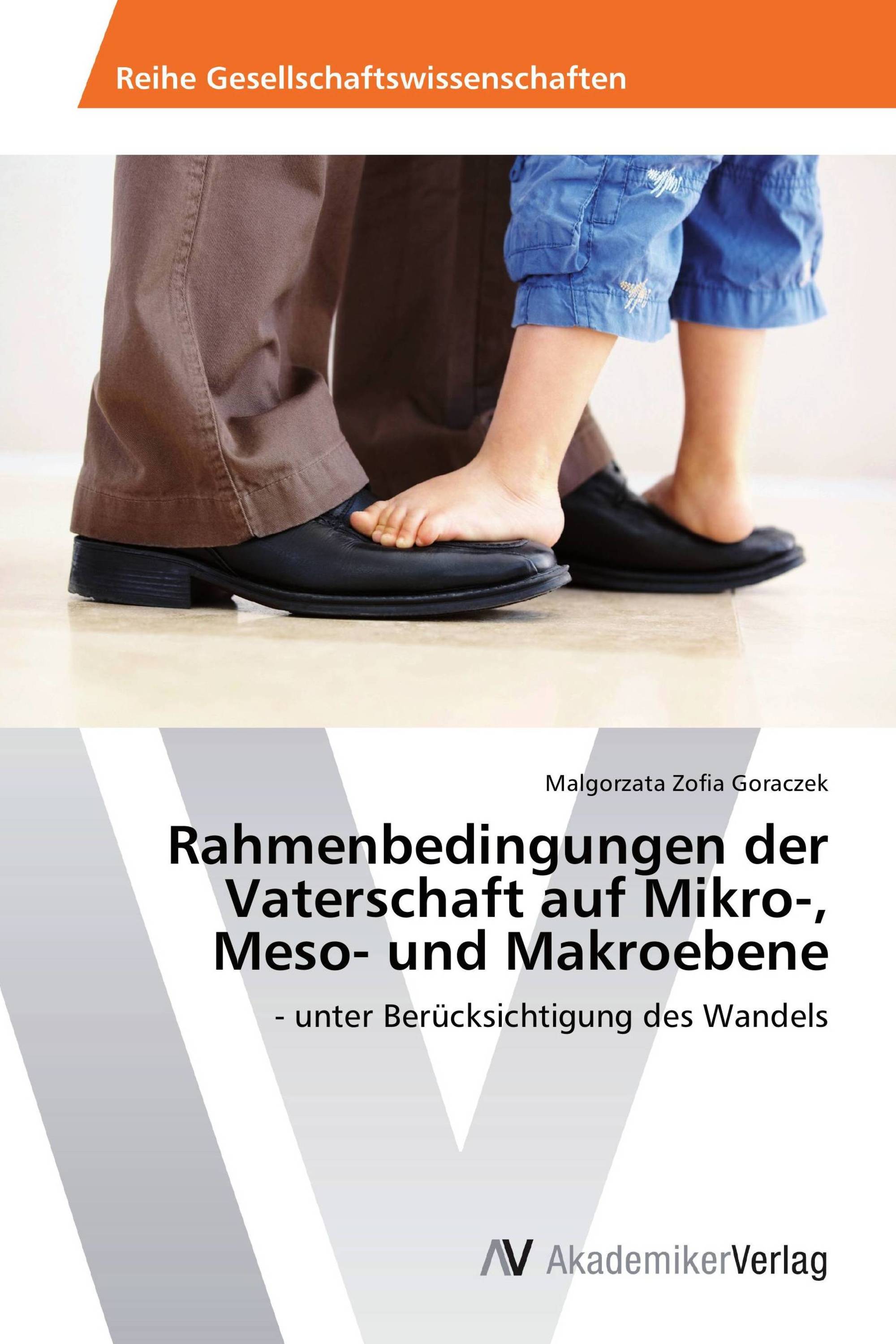 Rahmenbedingungen der Vaterschaft auf Mikro-, Meso- und Makroebene