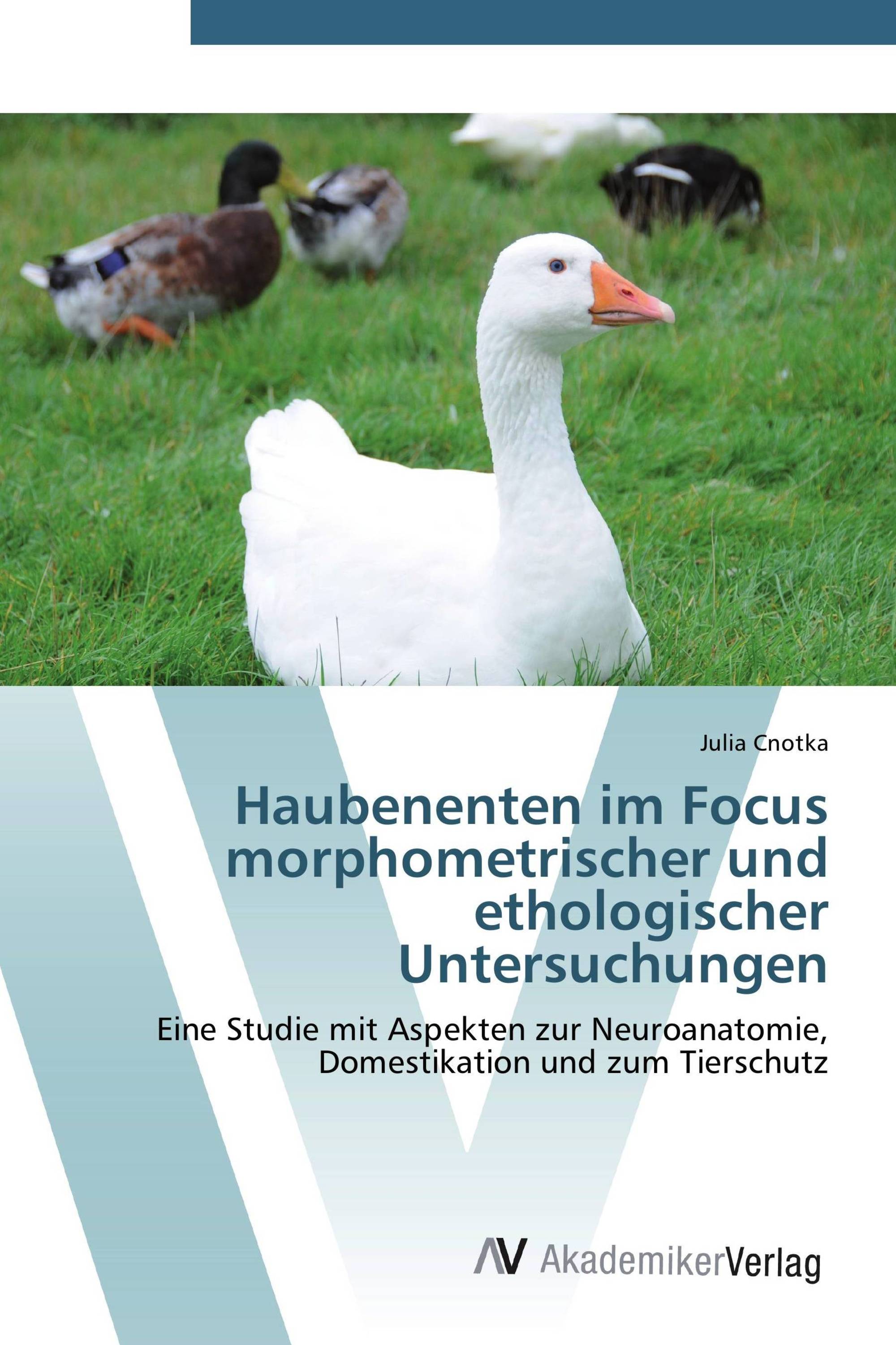 Haubenenten im Focus morphometrischer und ethologischer Untersuchungen