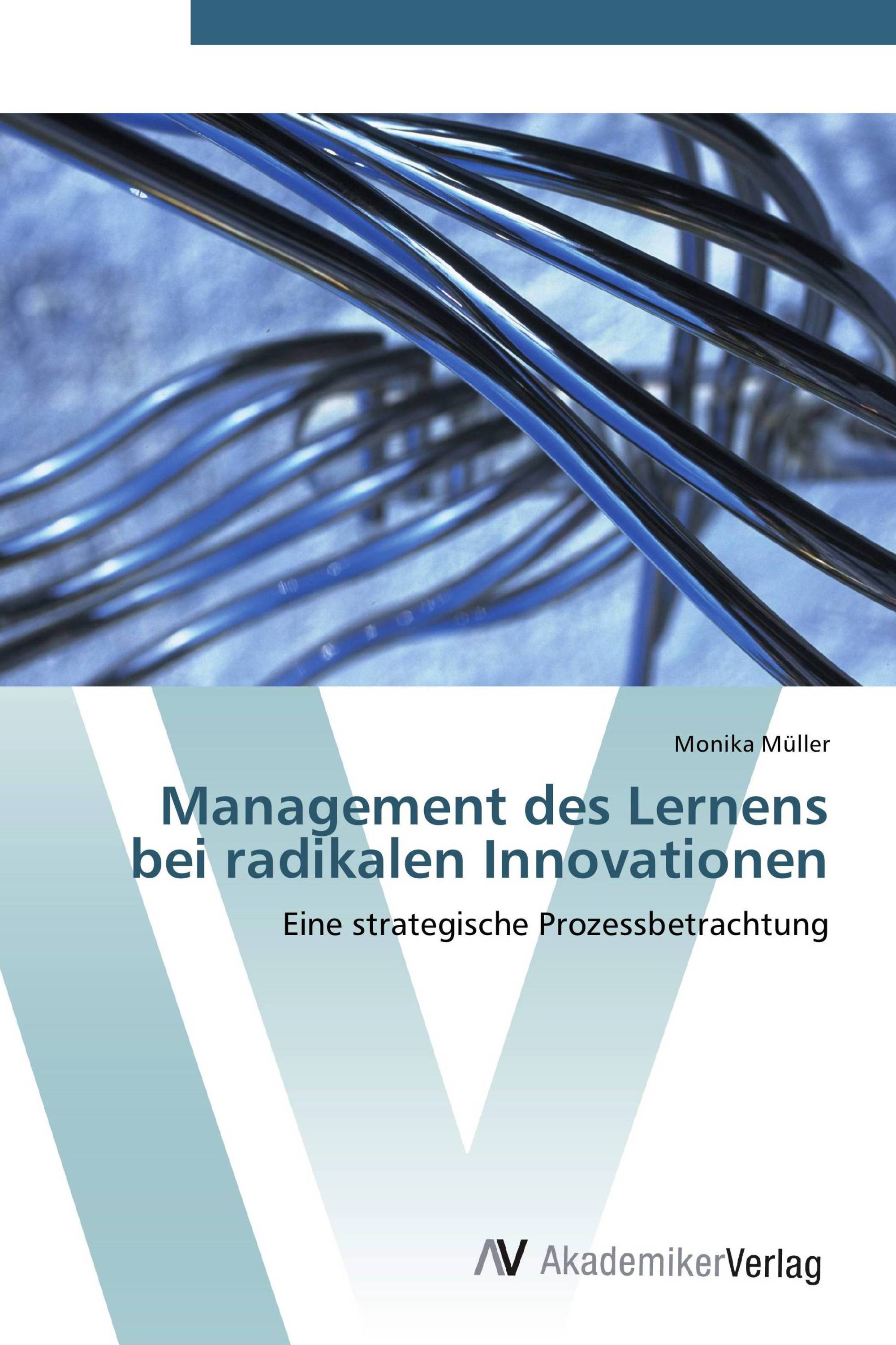 Management des Lernens bei radikalen Innovationen