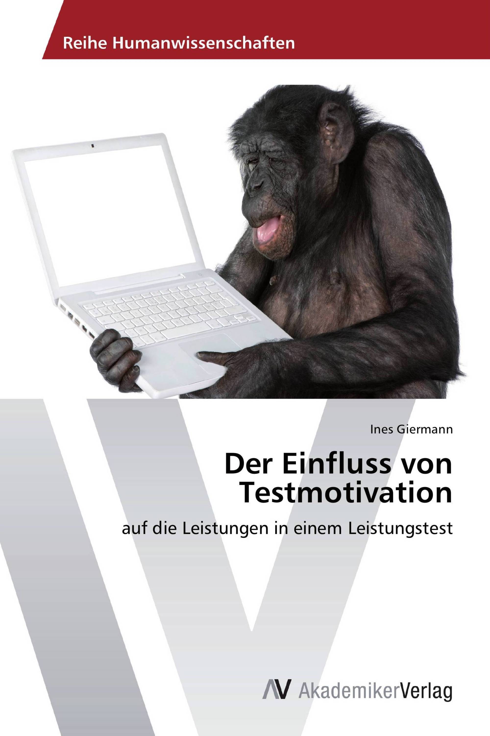 Der Einfluss von Testmotivation