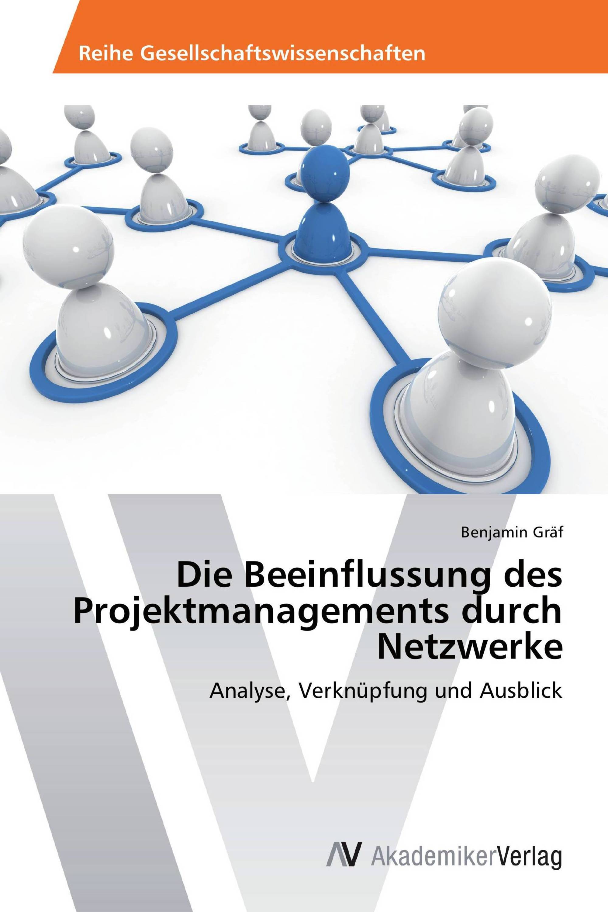 Die Beeinflussung des Projektmanagements durch Netzwerke