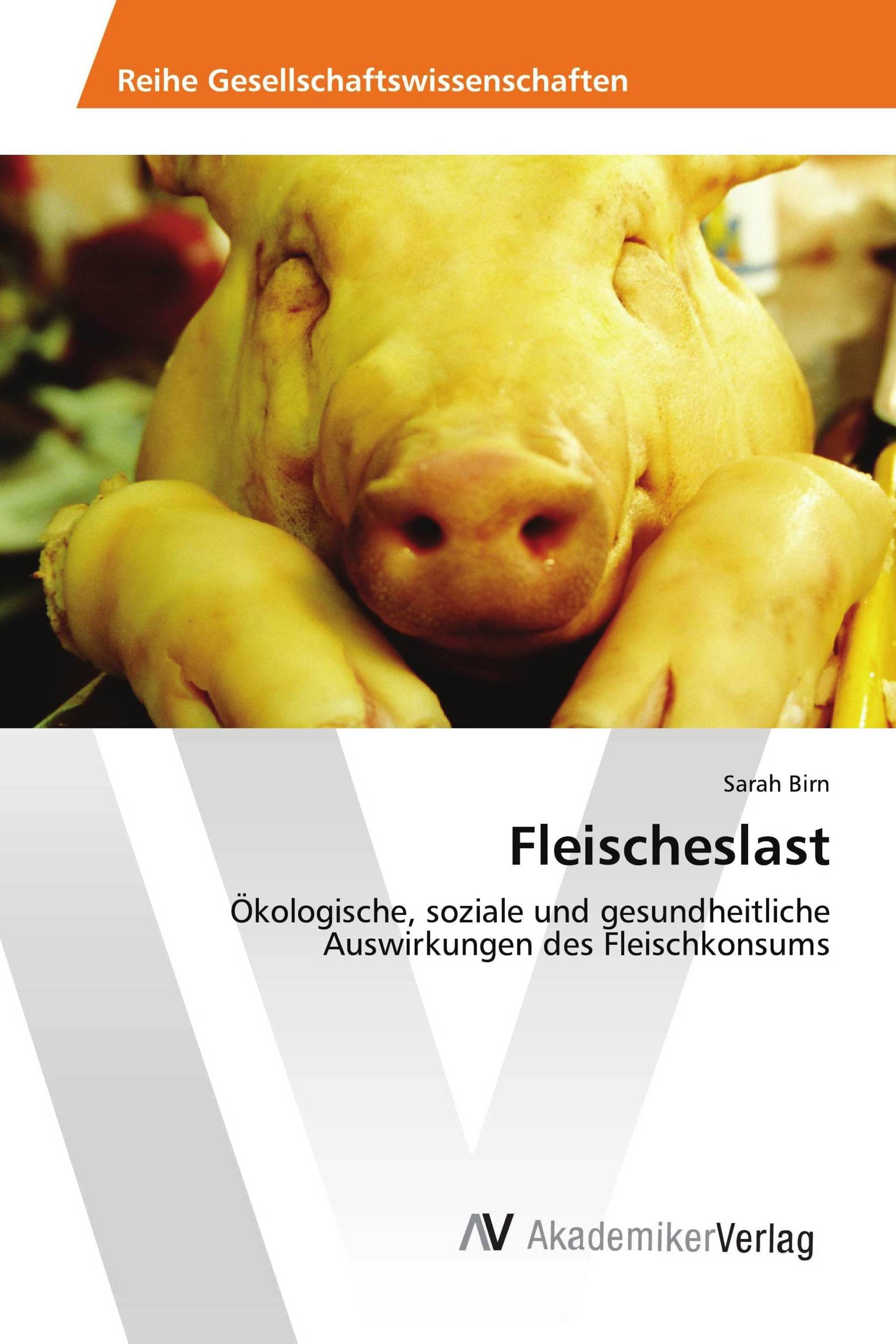 Fleischeslast