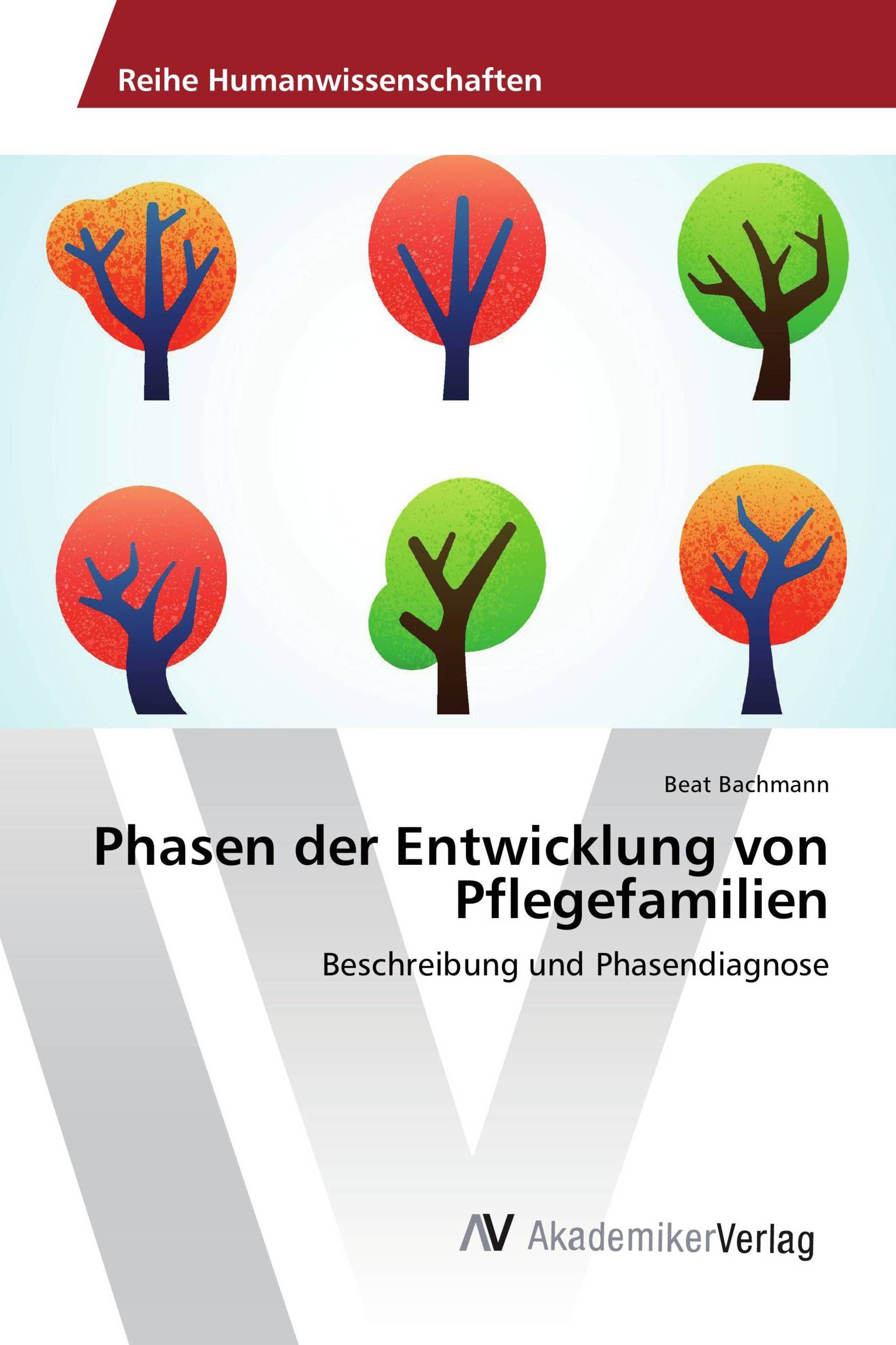 Phasen der Entwicklung von Pflegefamilien