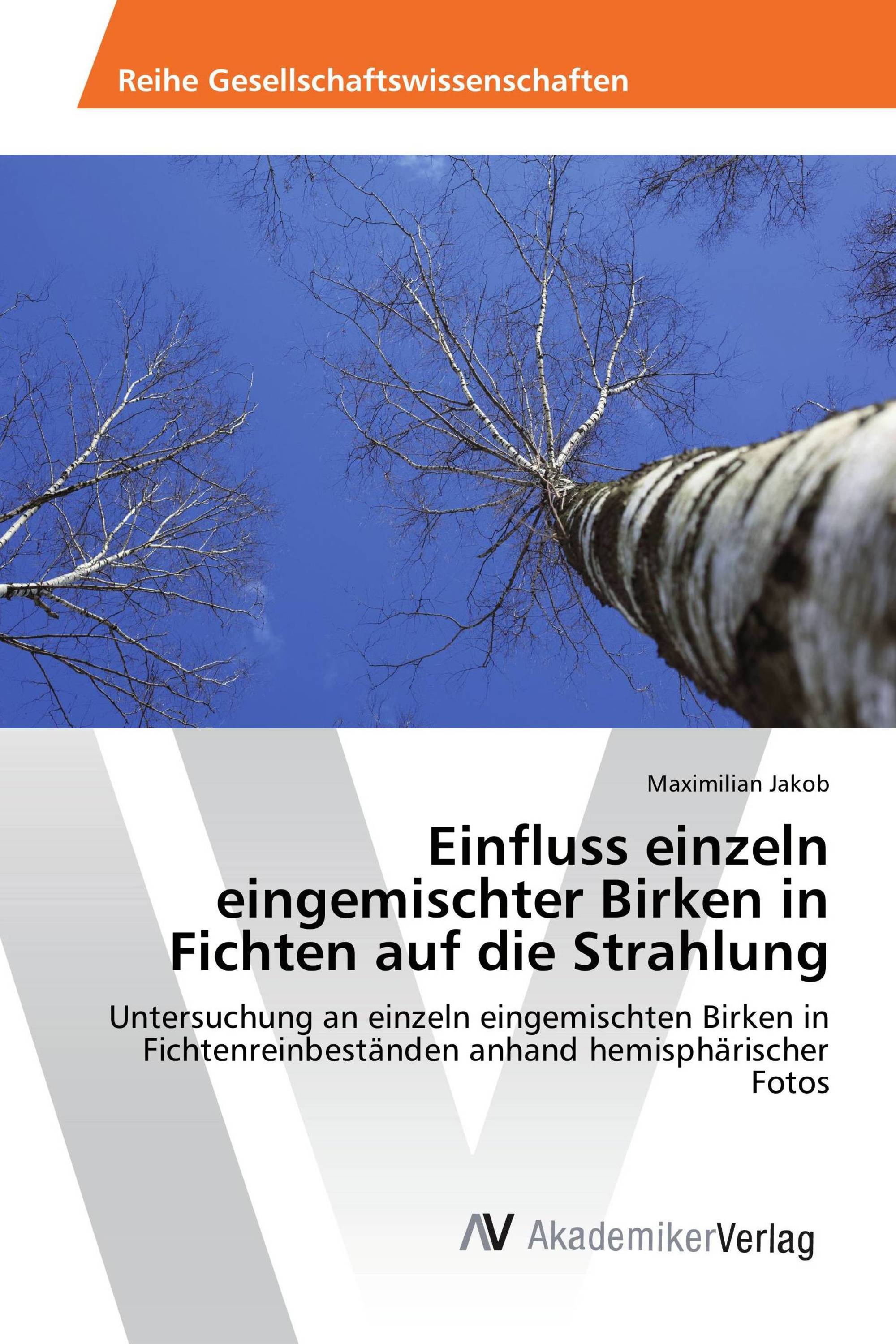 Einfluss einzeln eingemischter Birken in Fichten auf die Strahlung