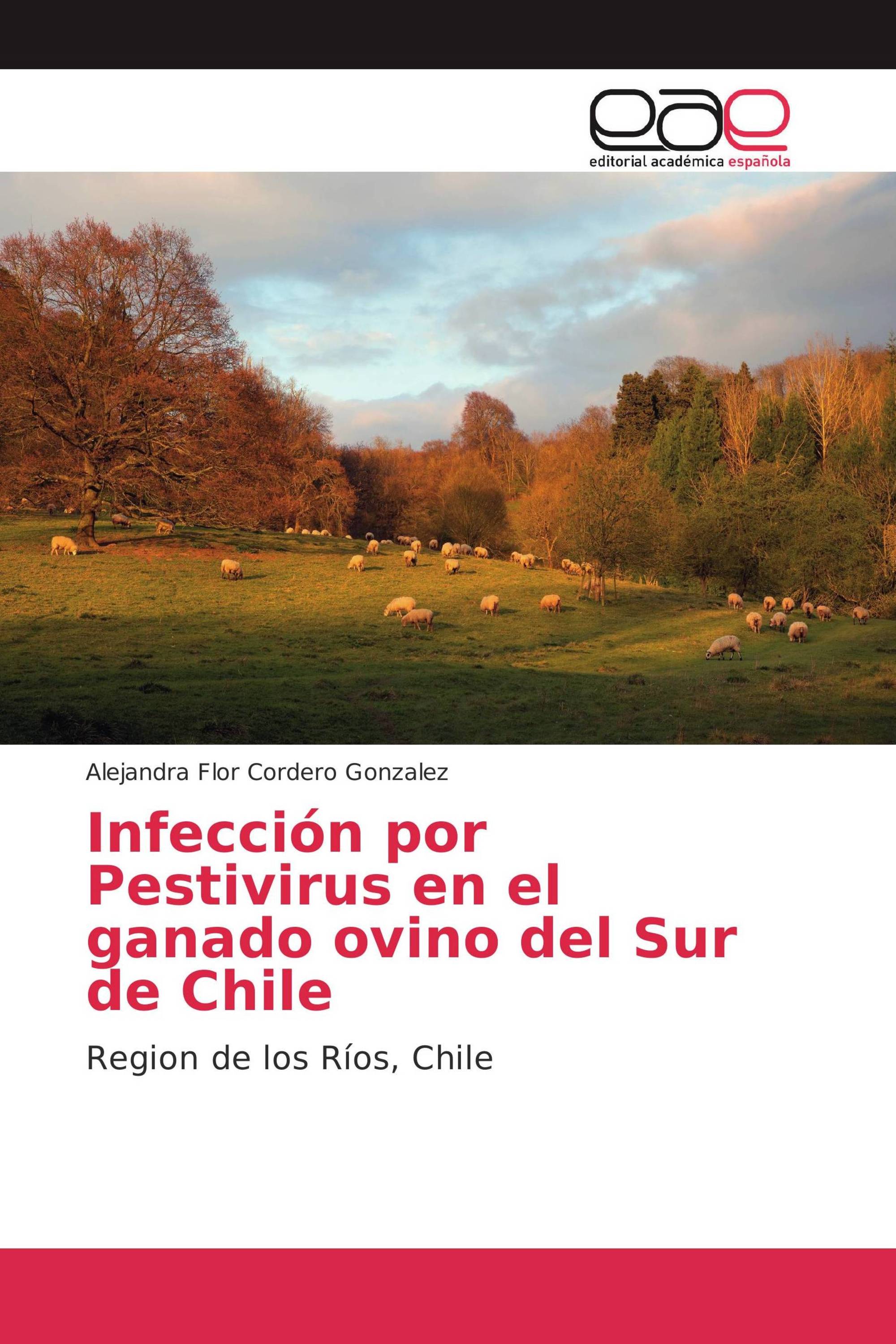 Infección por Pestivirus en el ganado ovino del Sur de Chile