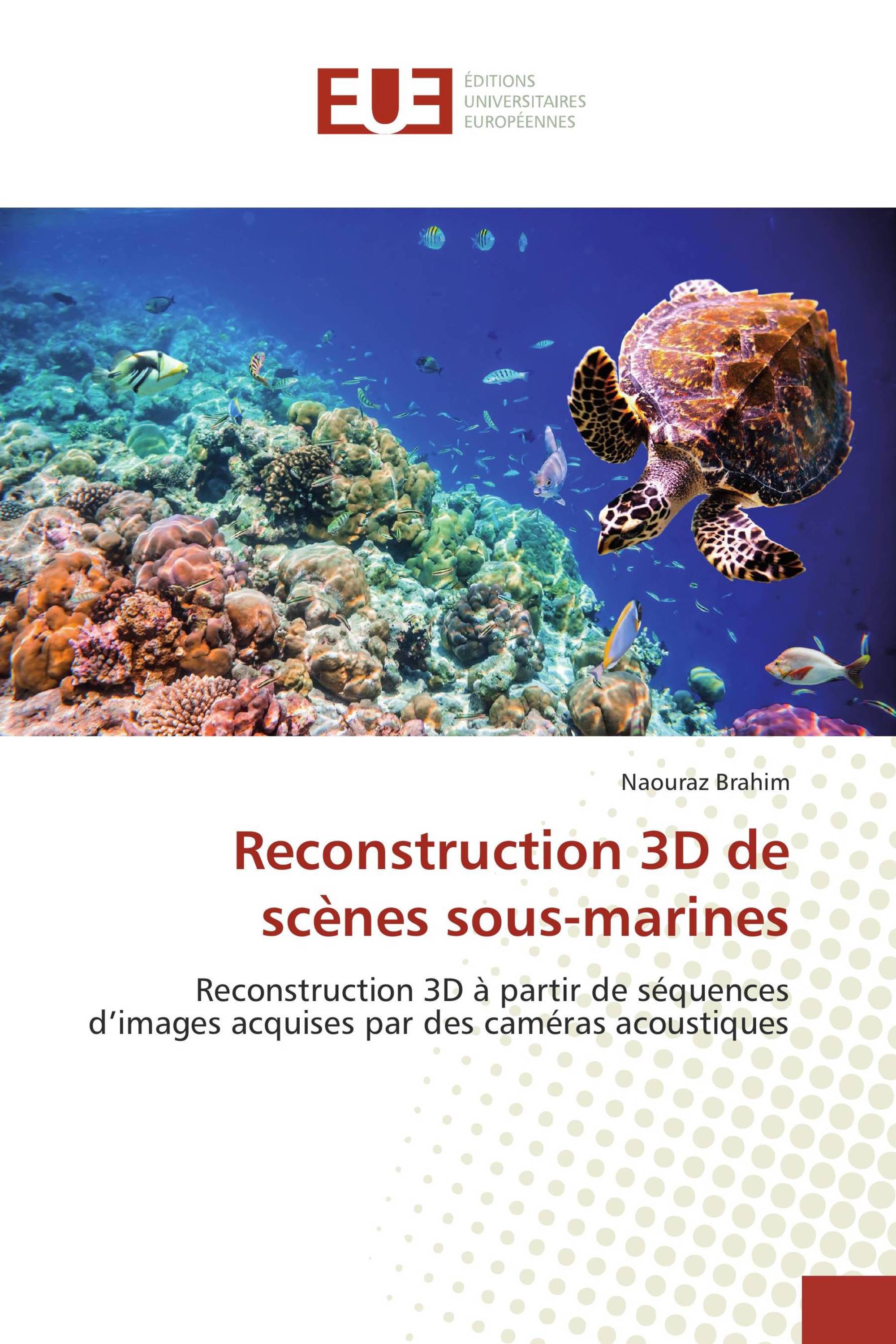 Reconstruction 3D de scènes sous-marines