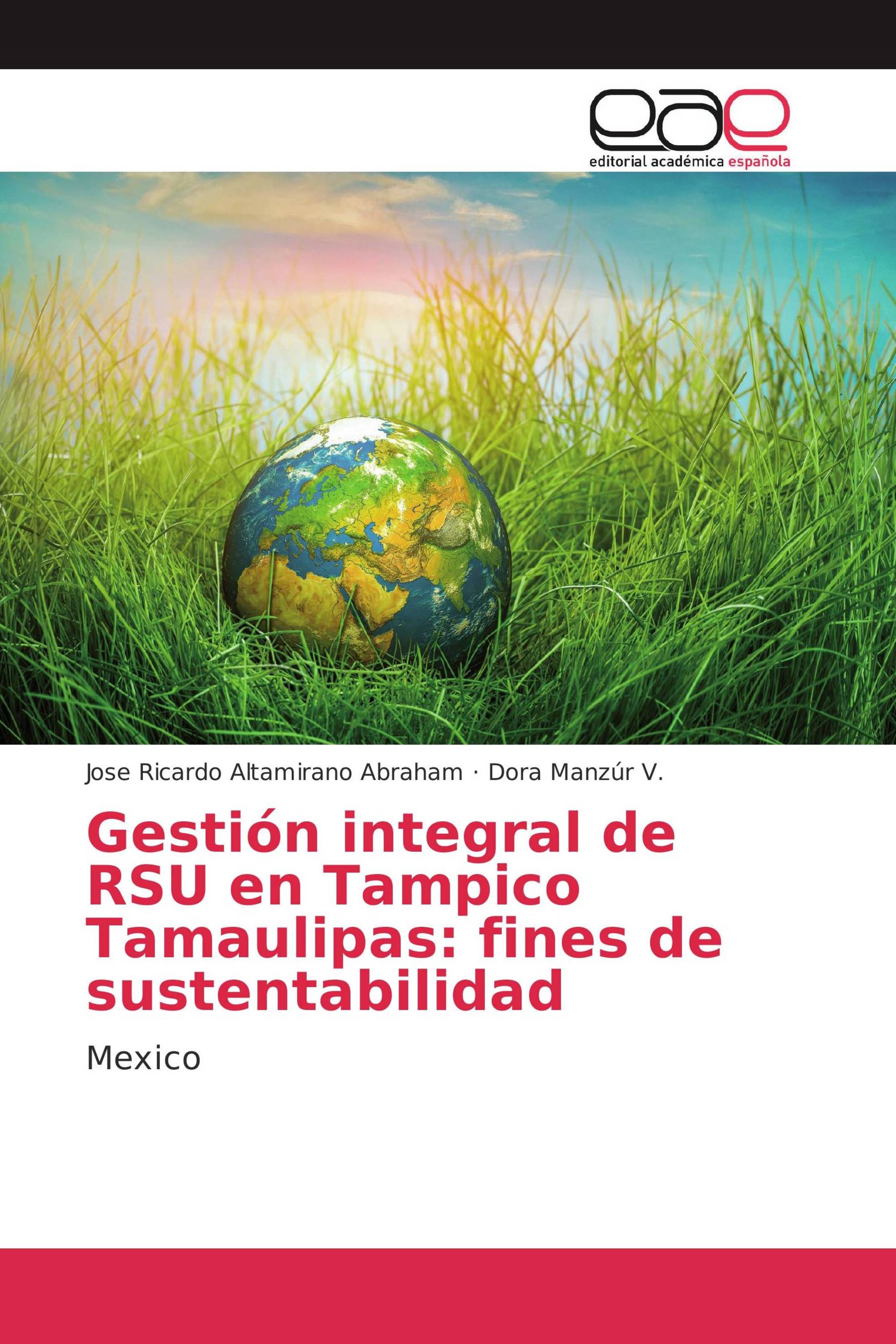 Gestión integral de RSU en Tampico Tamaulipas: fines de sustentabilidad