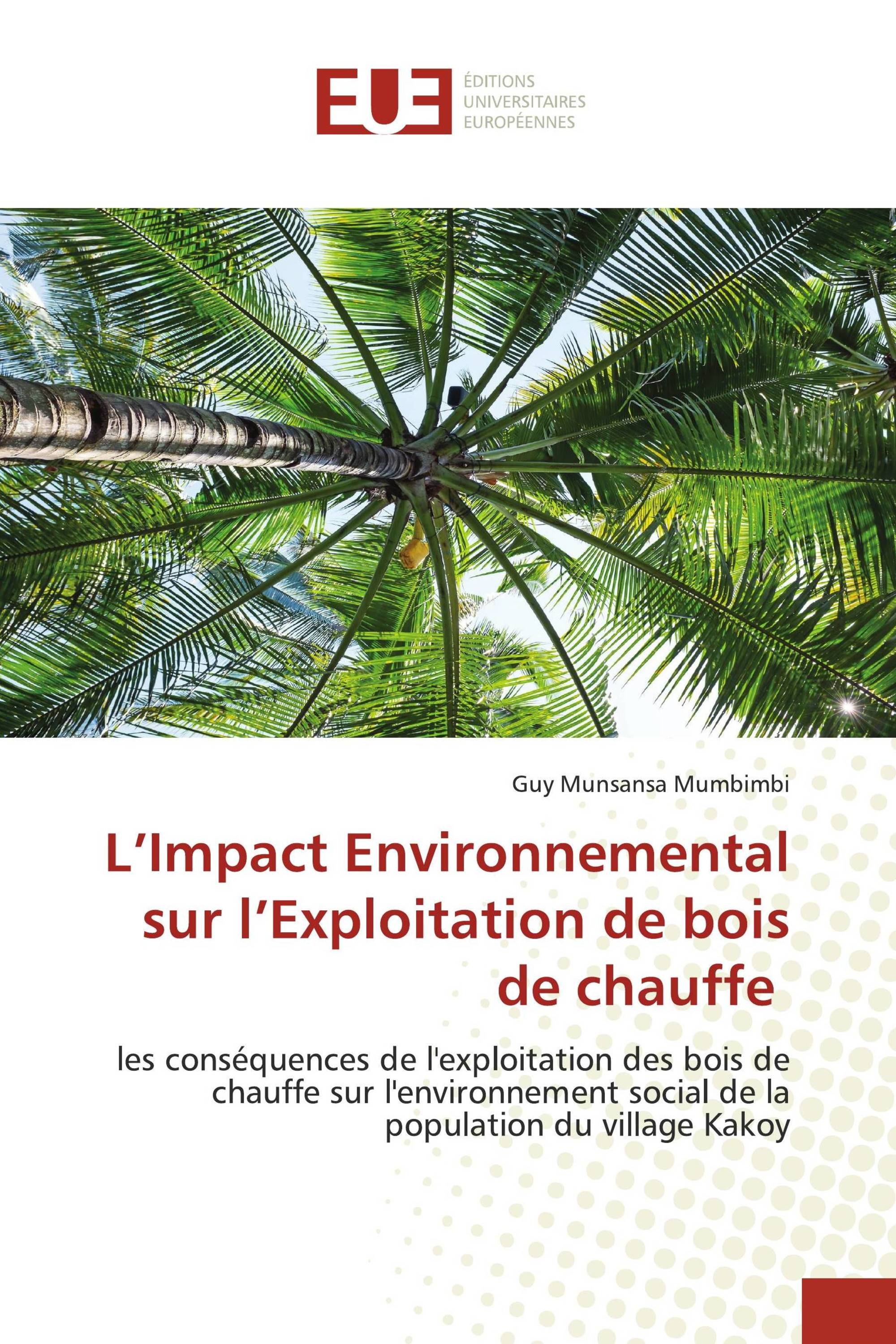 L’Impact Environnemental sur l’Exploitation de bois de chauffe