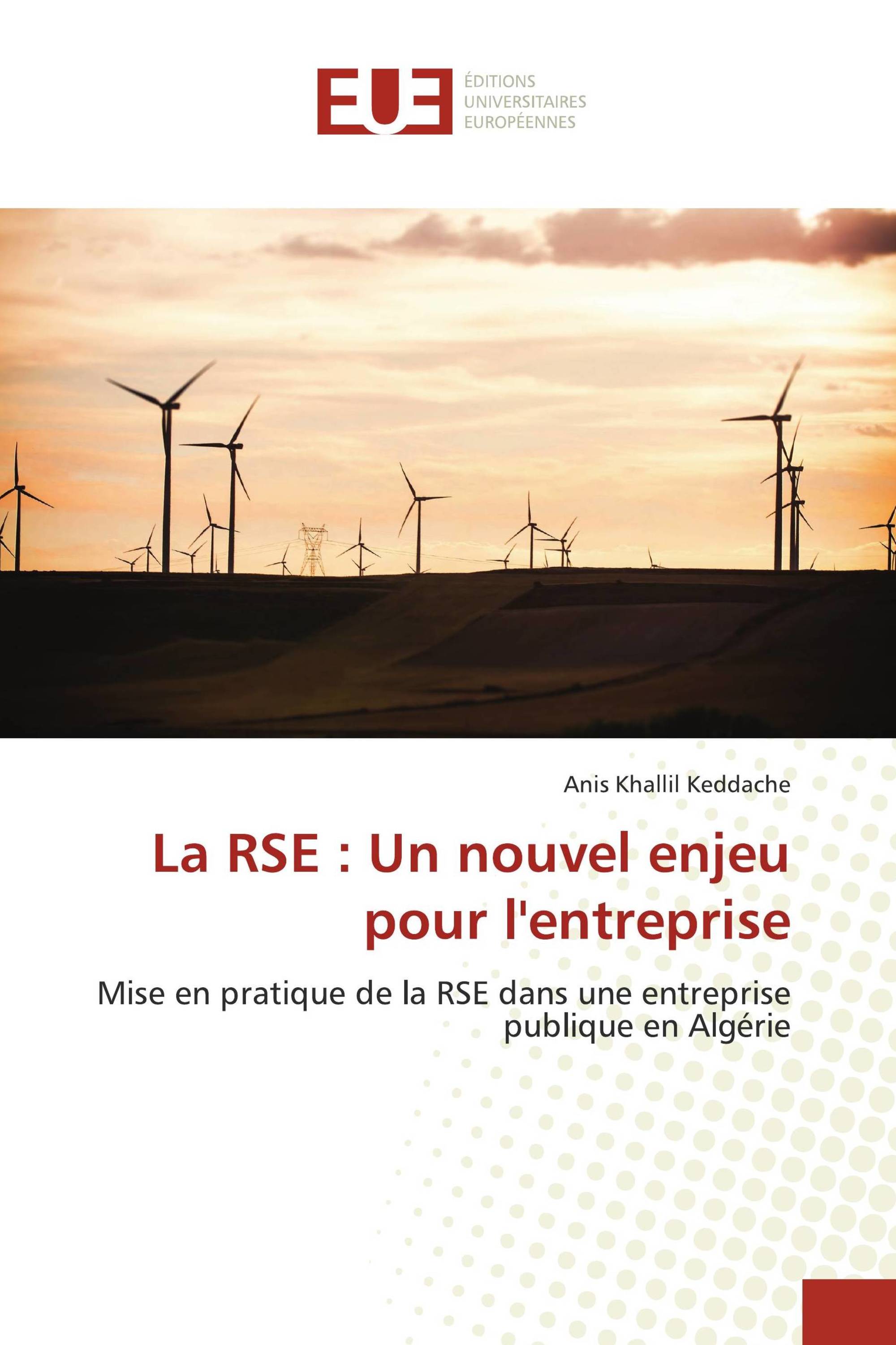 La RSE : Un nouvel enjeu pour l'entreprise