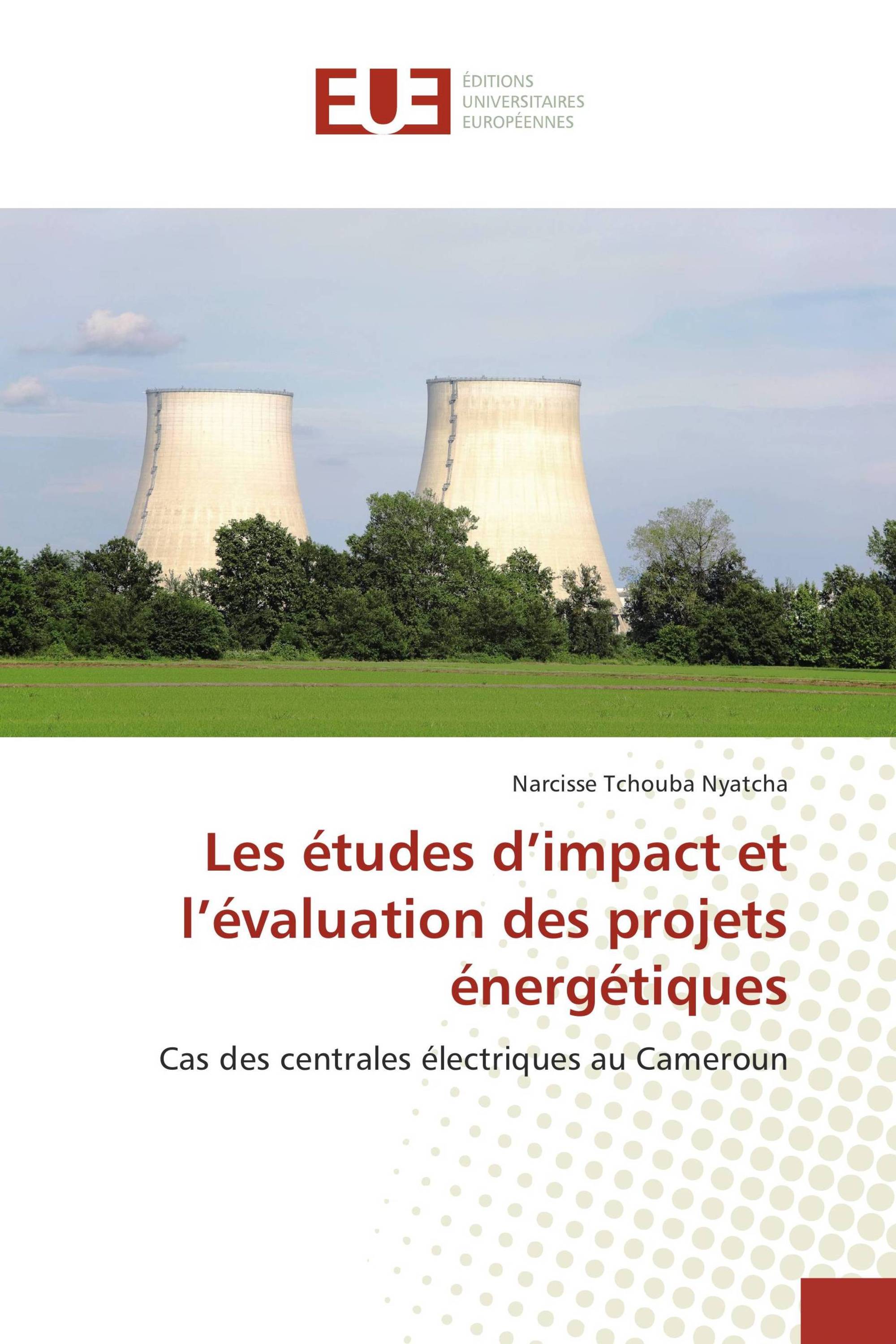 Les études d’impact et l’évaluation des projets énergétiques