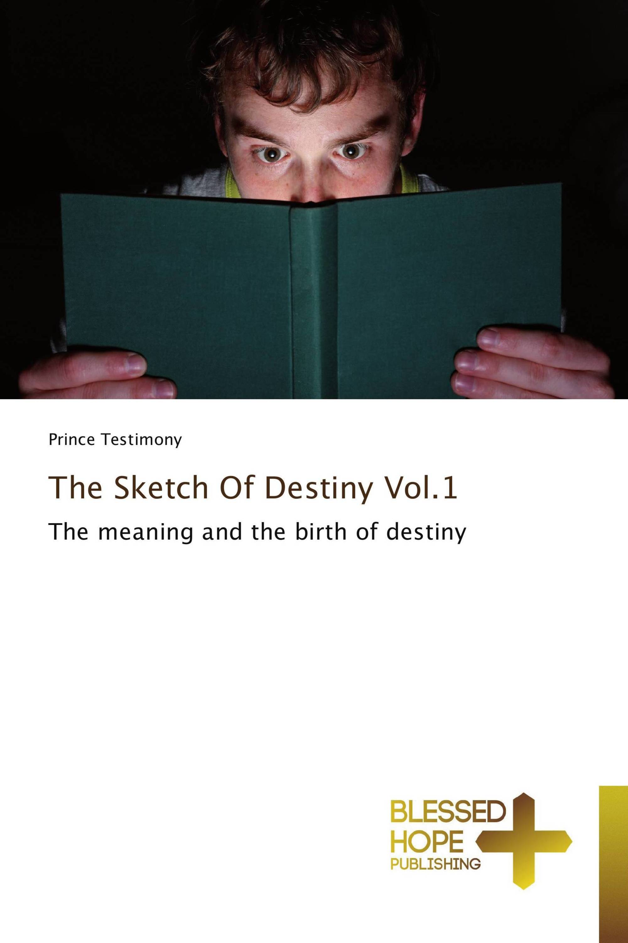 The Sketch Of Destiny Vol.1