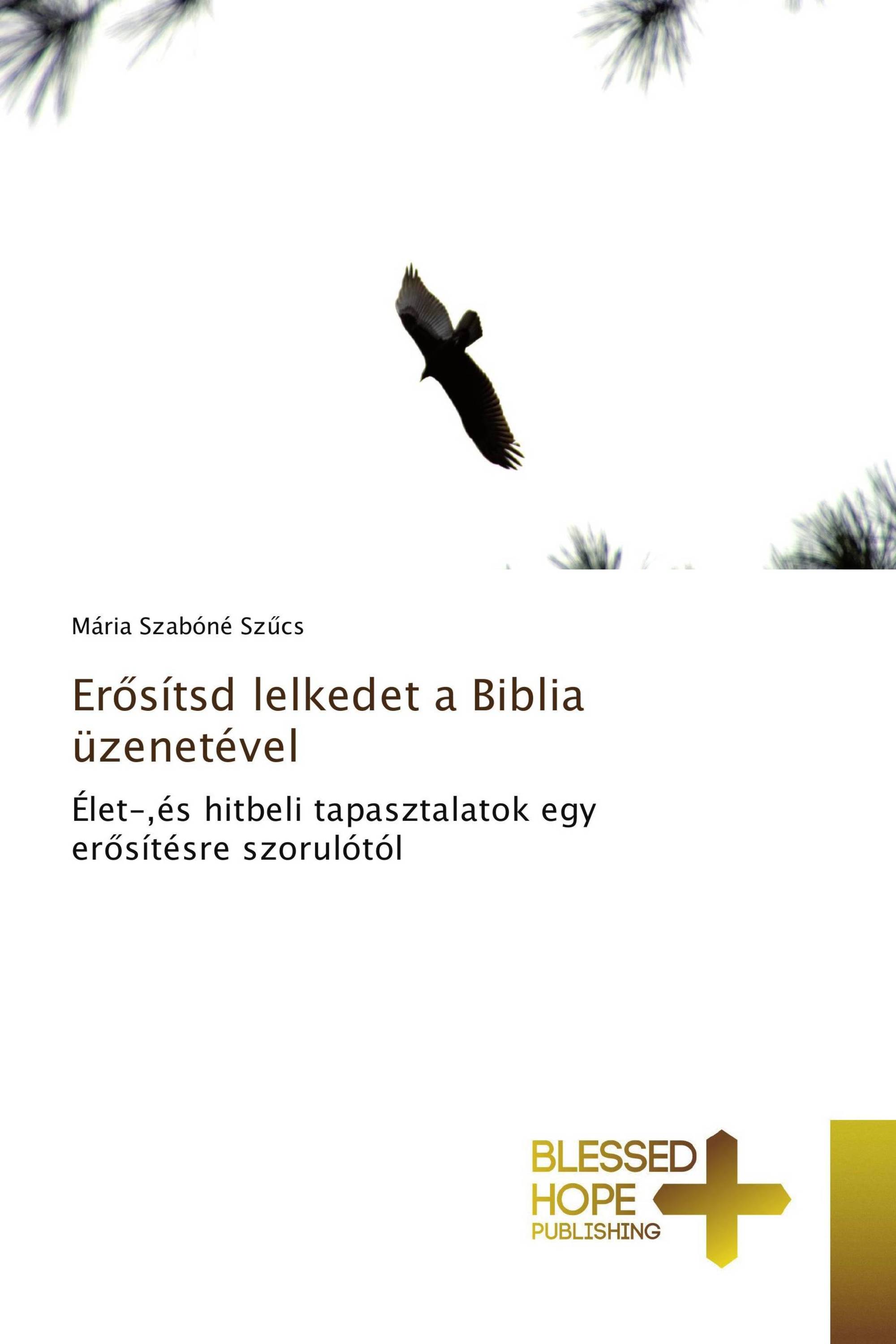 Erősítsd lelkedet a Biblia üzenetével