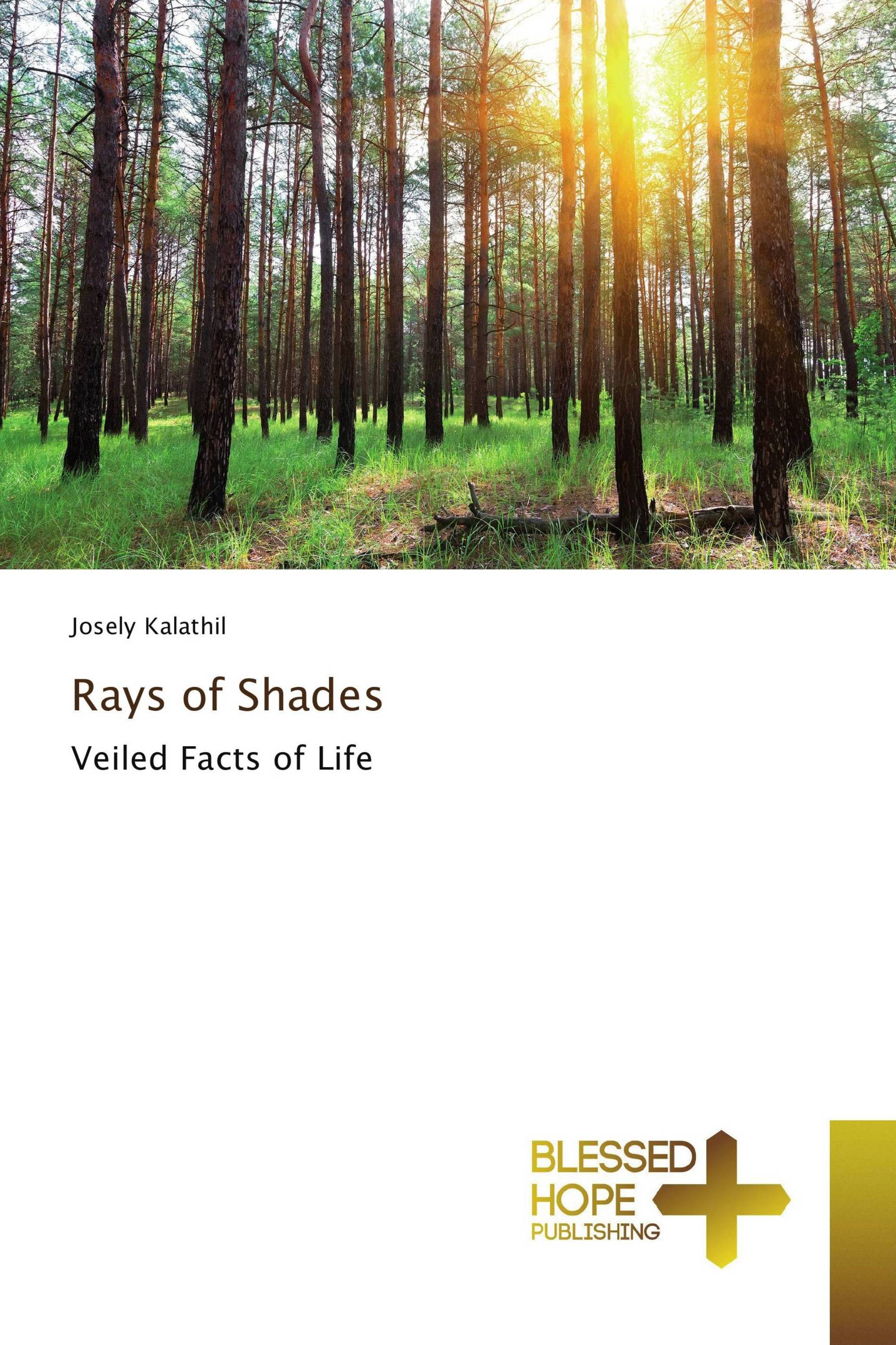 Rays of Shades