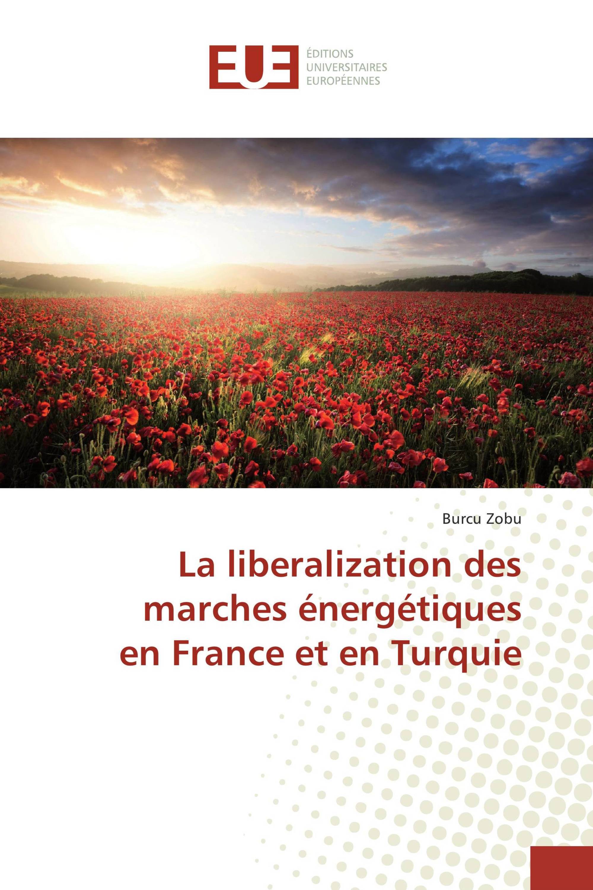 La liberalization des marches énergétiques en France et en Turquie