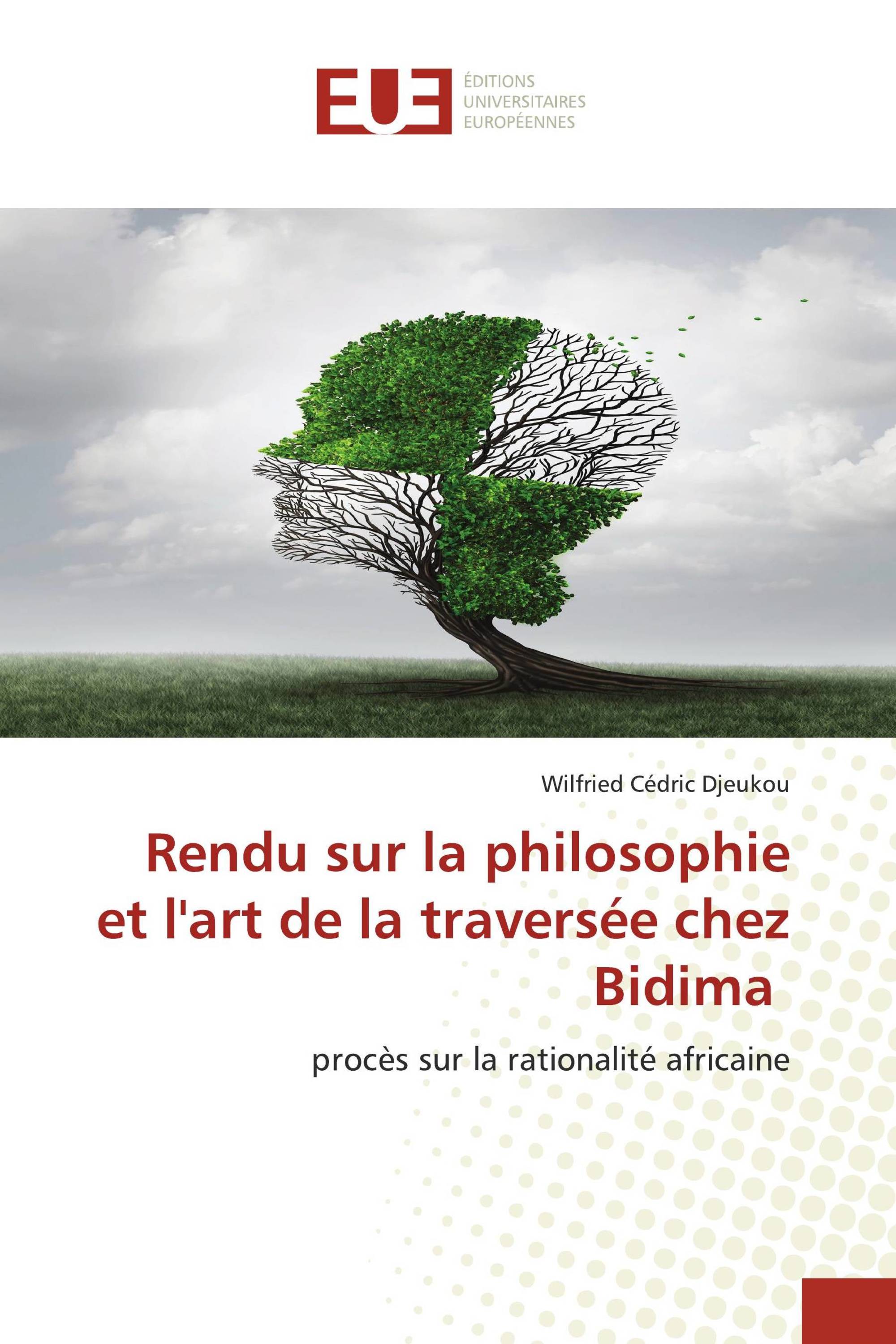 Rendu sur la philosophie et l'art de la traversée chez Bidima