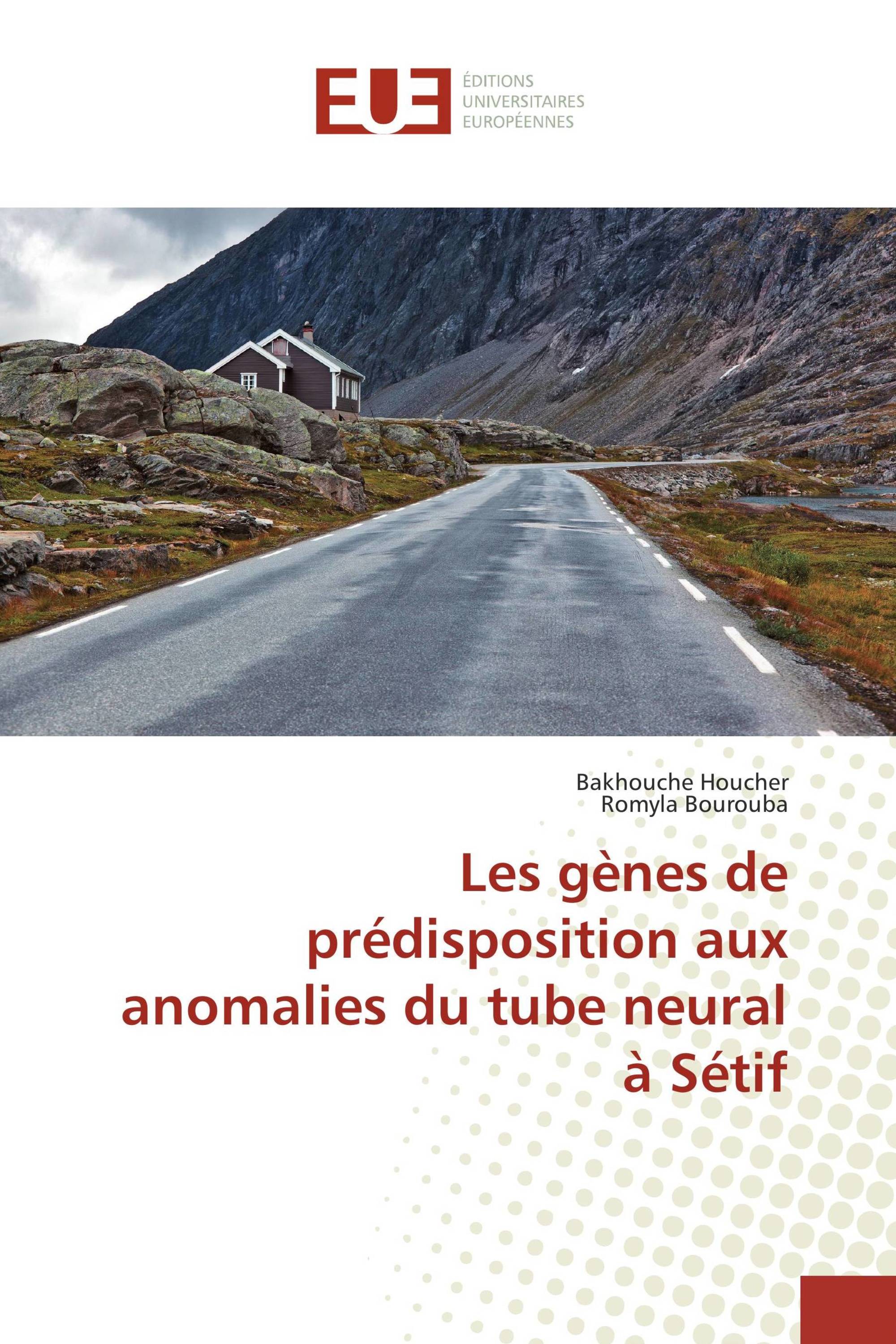 Les gènes de prédisposition aux anomalies du tube neural à Sétif