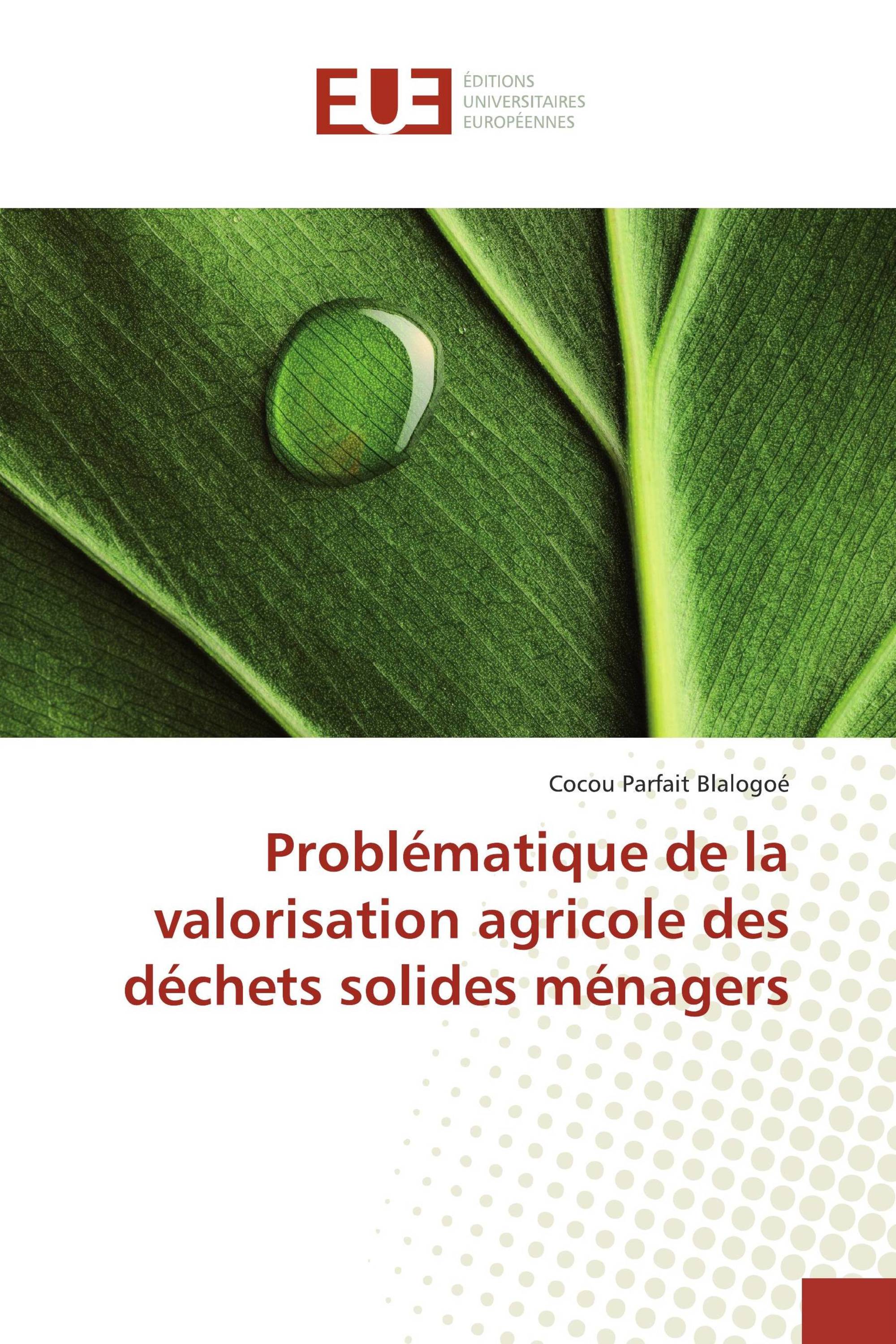 Problématique de la valorisation agricole des déchets solides ménagers