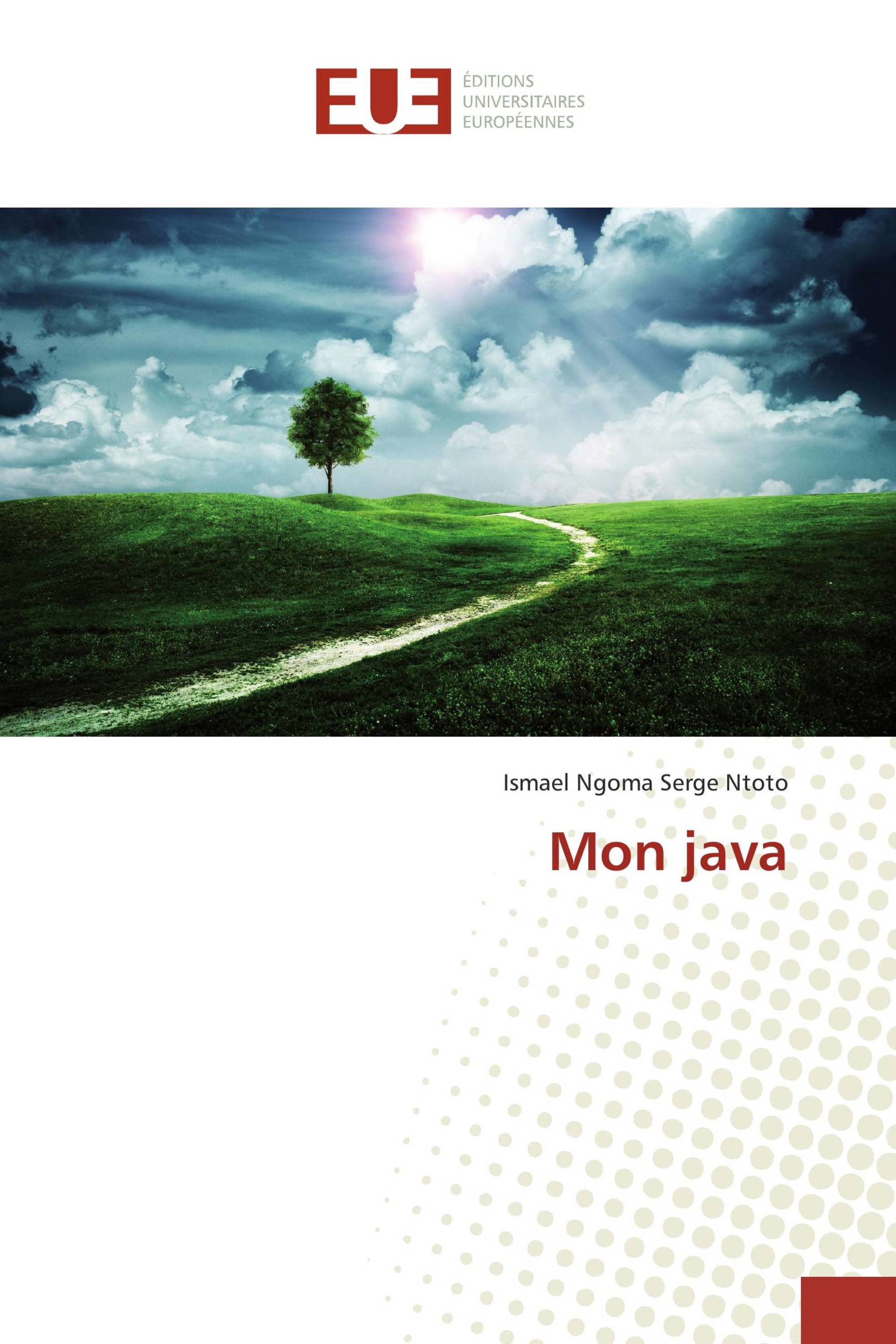 Mon java