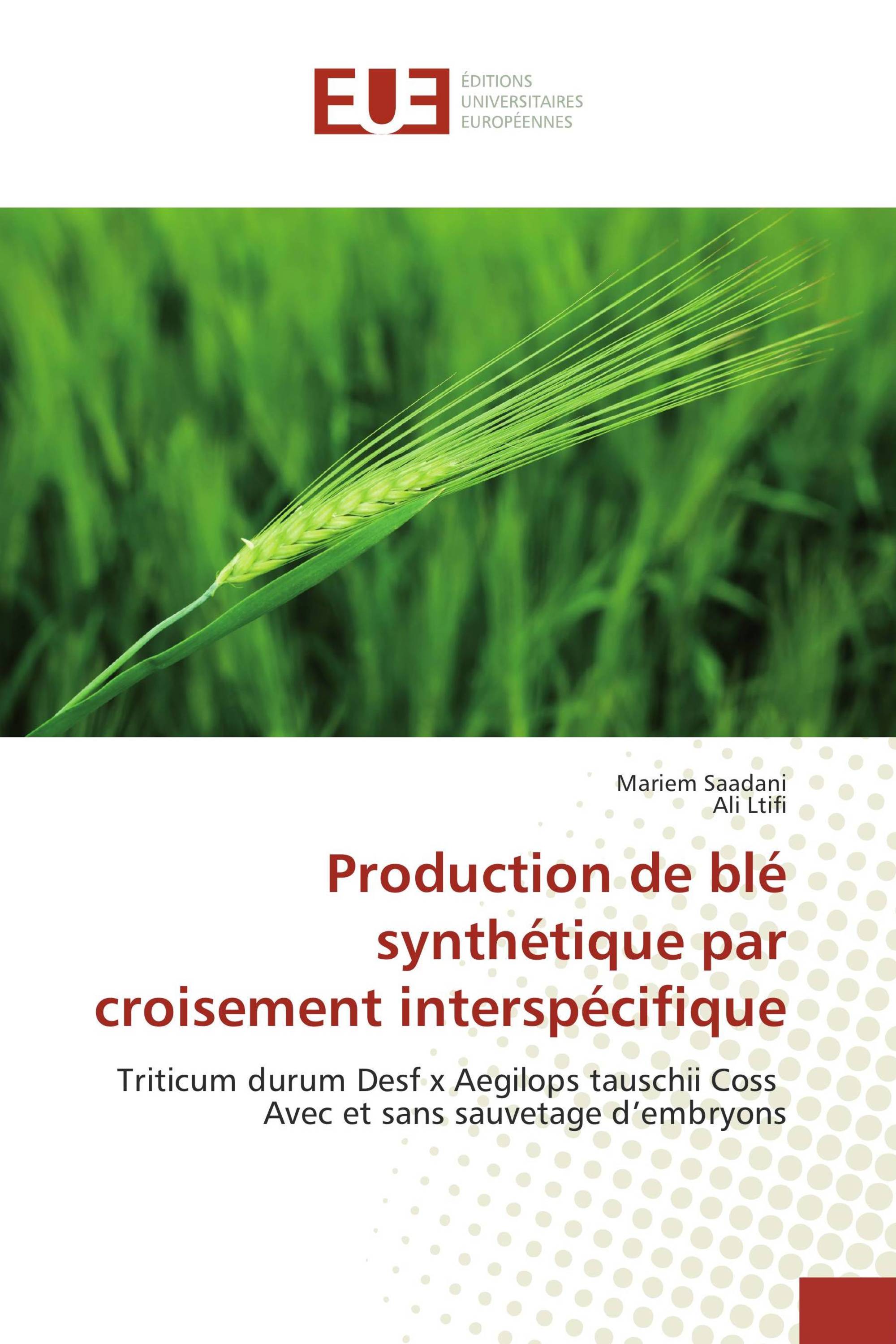 Production de blé synthétique par croisement interspécifique