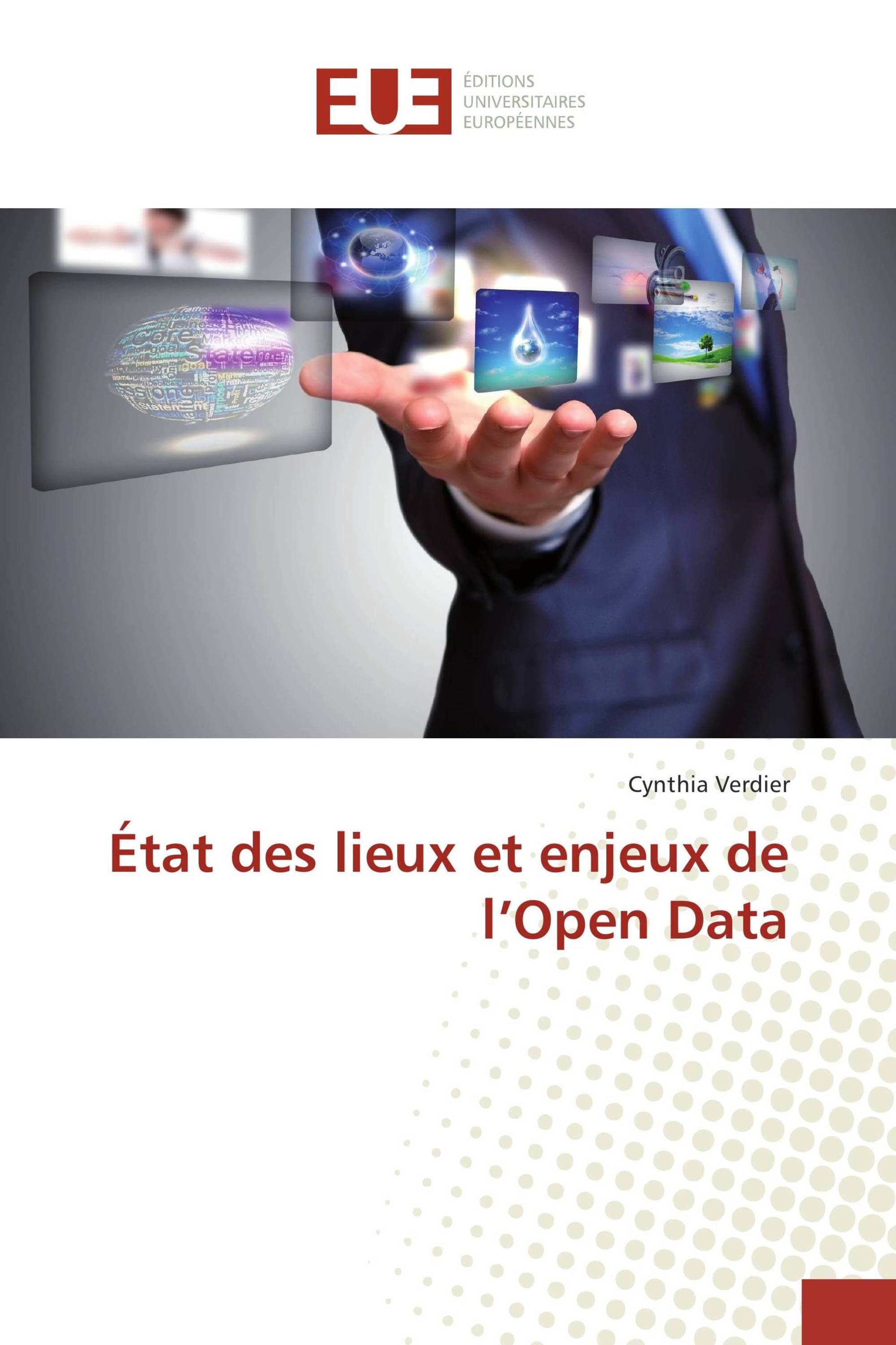 État des lieux et enjeux de l’Open Data