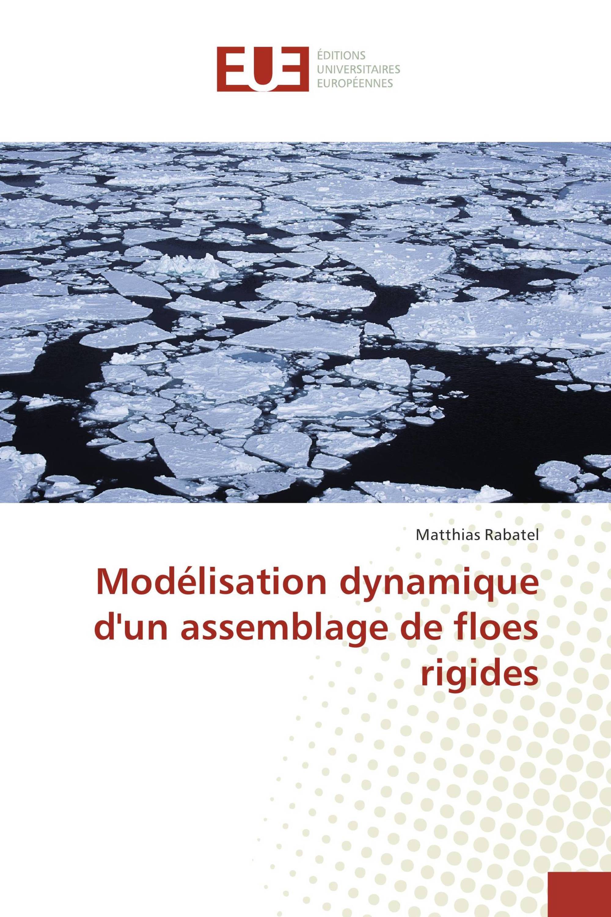 Modélisation dynamique d'un assemblage de floes rigides