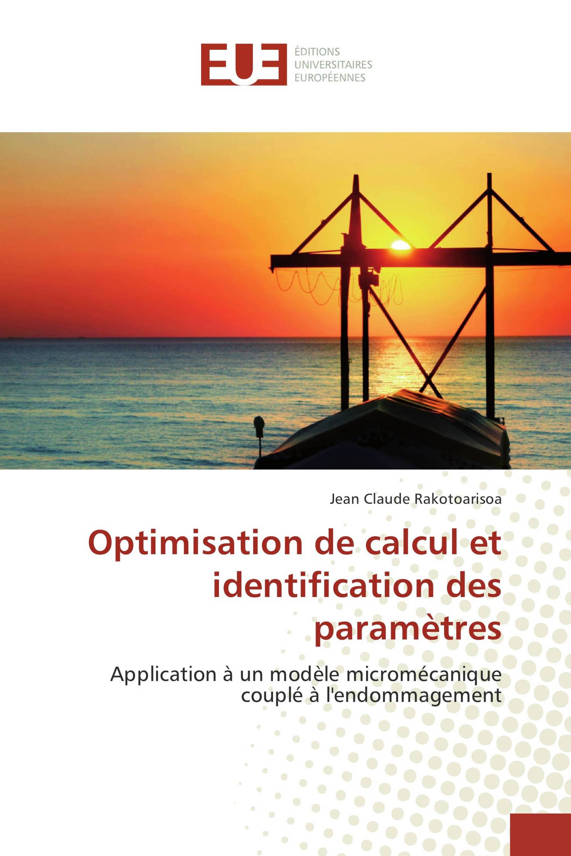 Optimisation de calcul et identification des paramètres