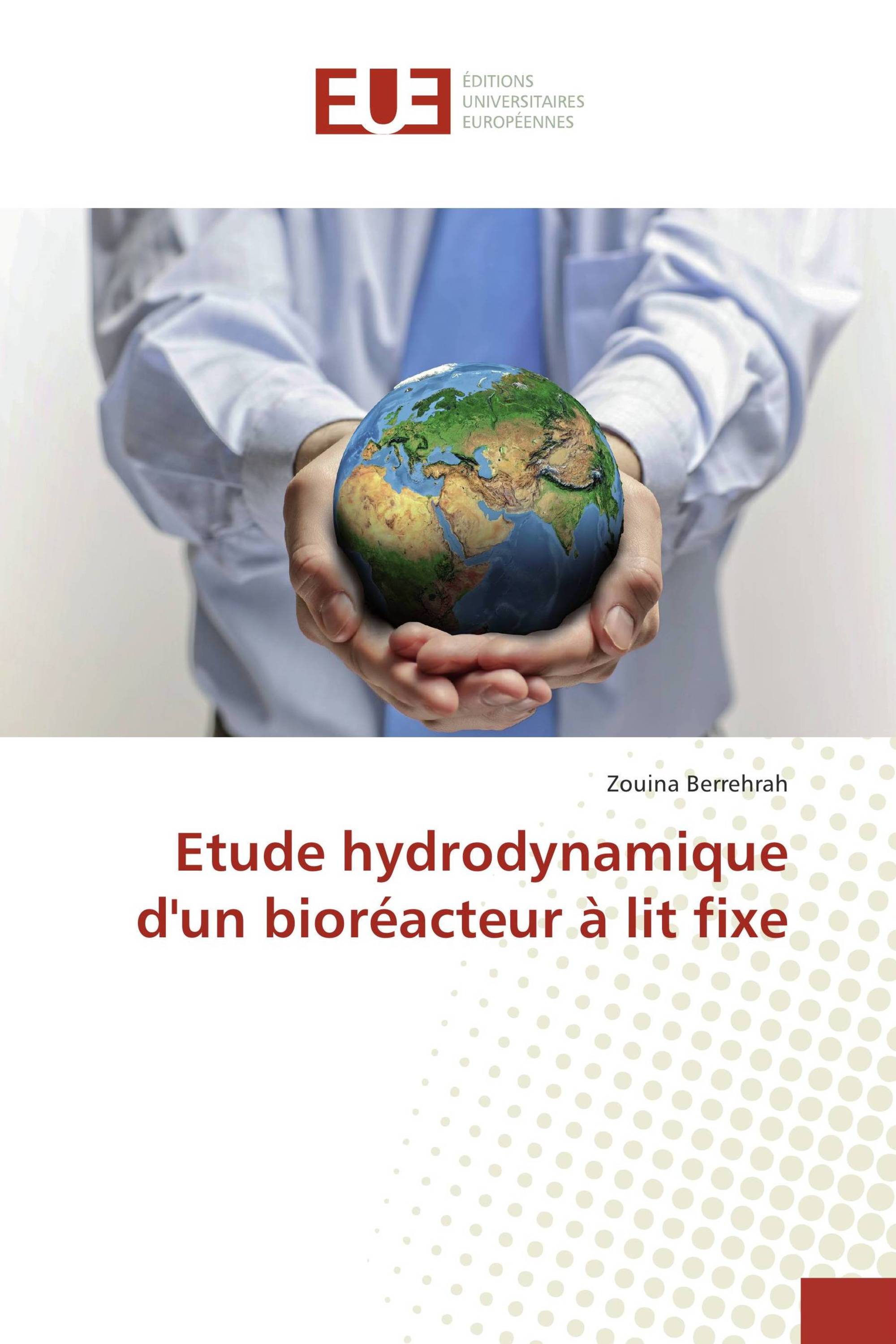 Etude hydrodynamique d'un bioréacteur à lit fixe