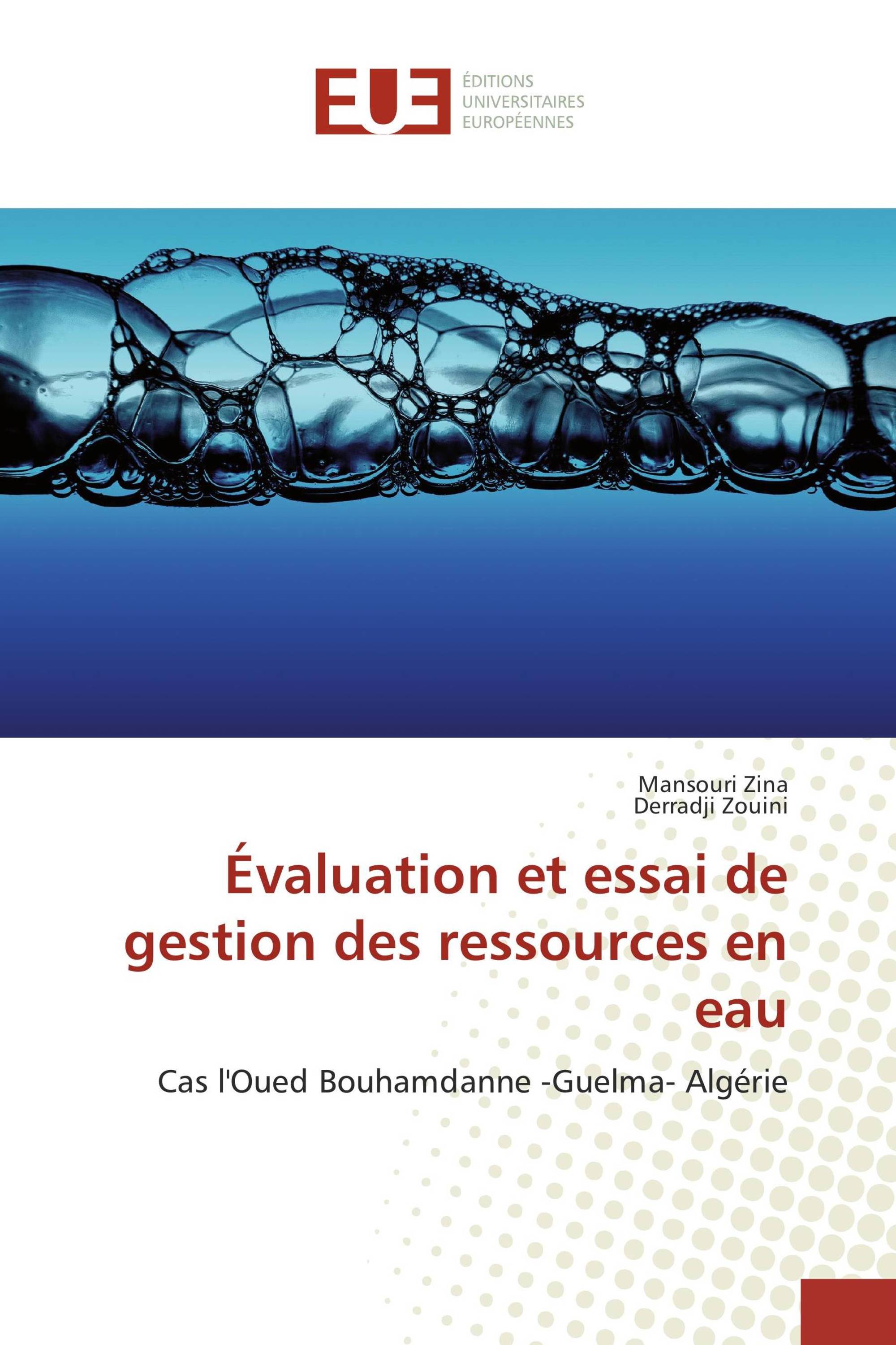 Évaluation et essai de gestion des ressources en eau