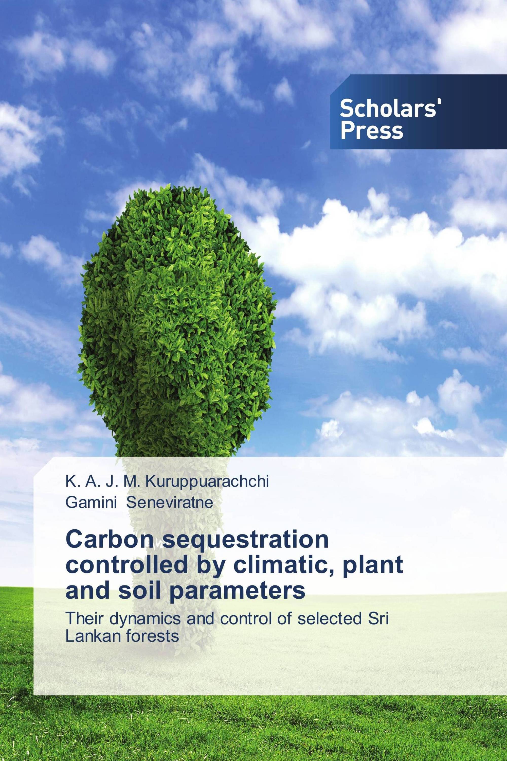 Carbon sequestration controlled by climatic, plant and soil parameters