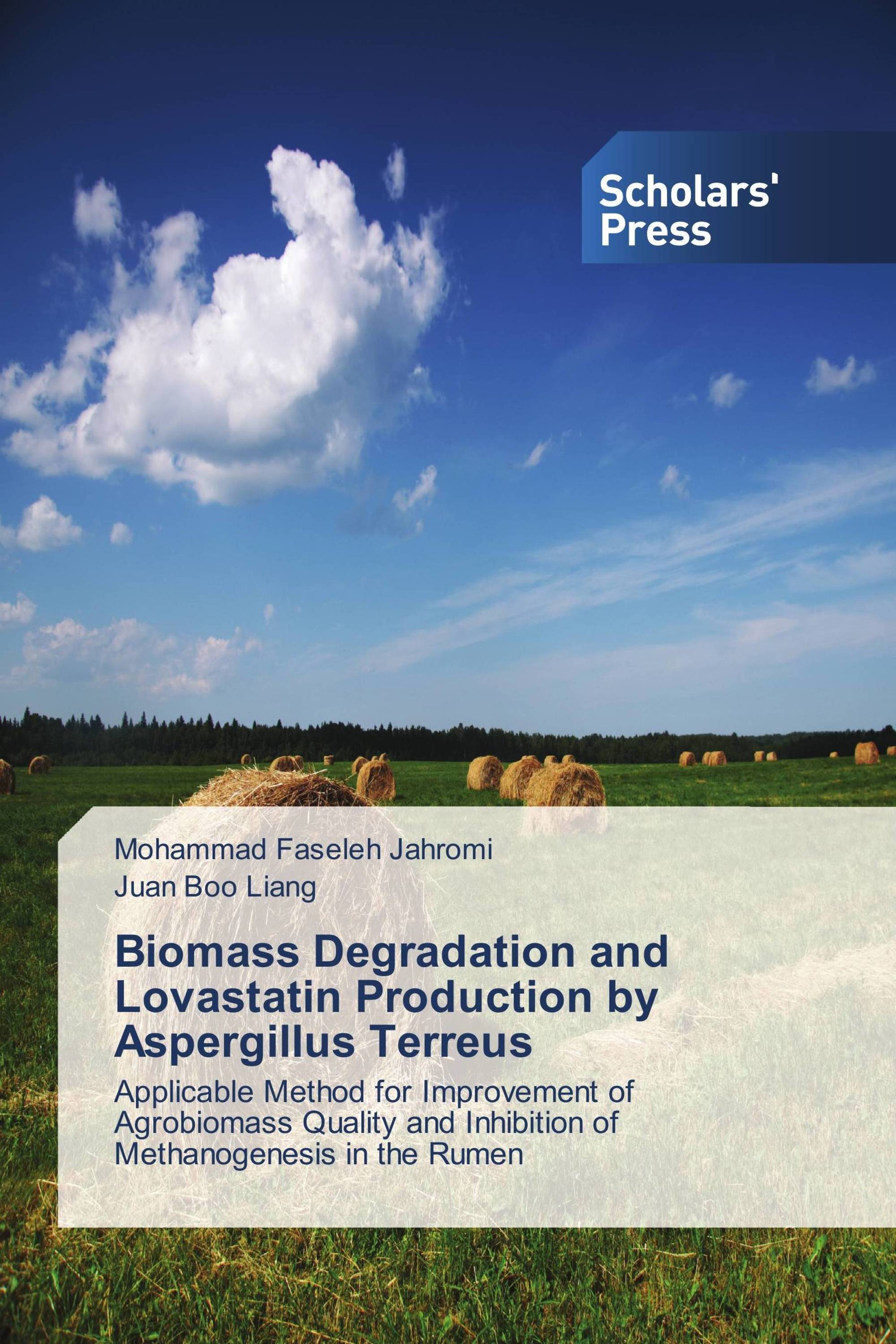 Biomass Degradation and Lovastatin Production by Aspergillus Terreus