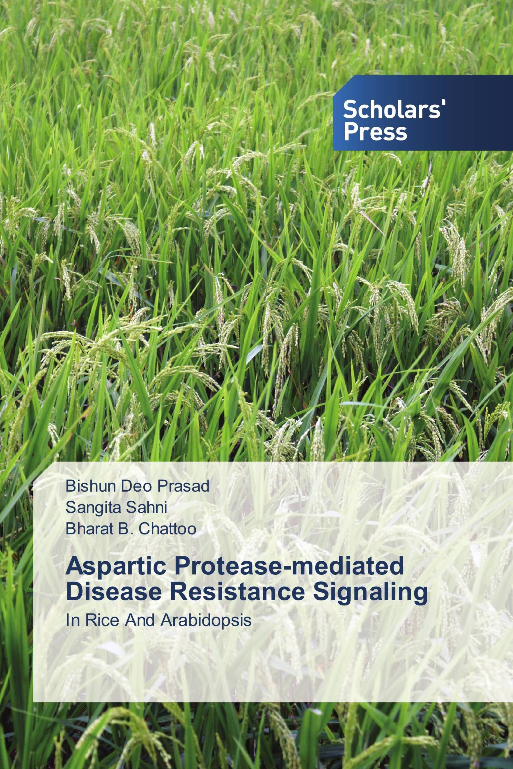 Aspartic Protease-mediated Disease Resistance Signaling