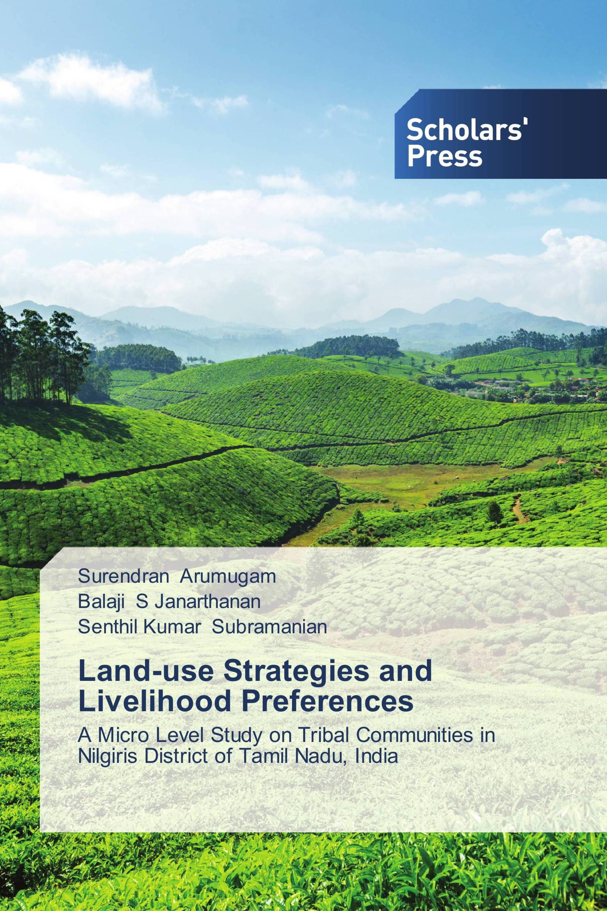 Land-use Strategies and Livelihood Preferences