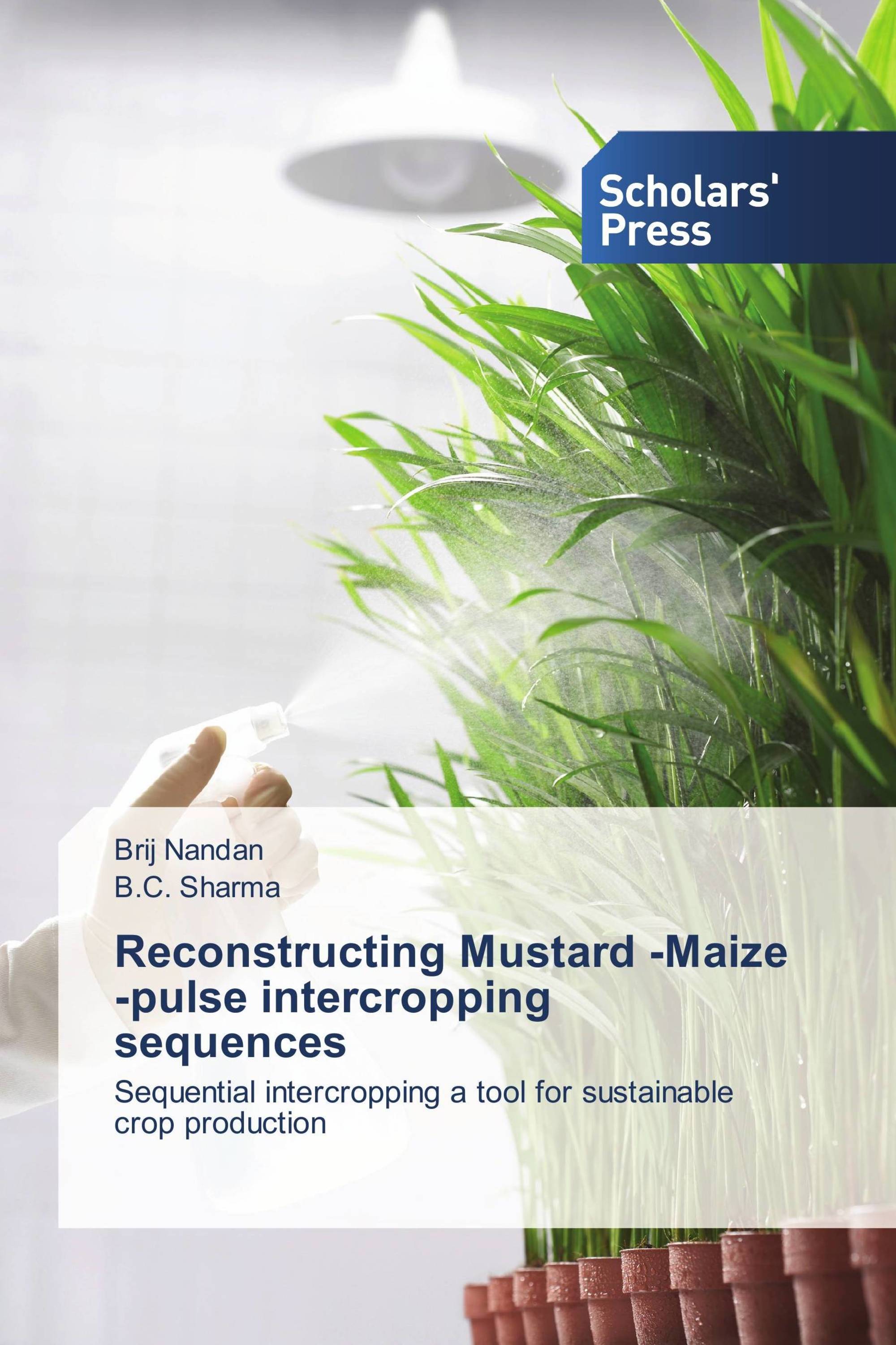 Reconstructing Mustard -Maize -pulse intercropping sequences