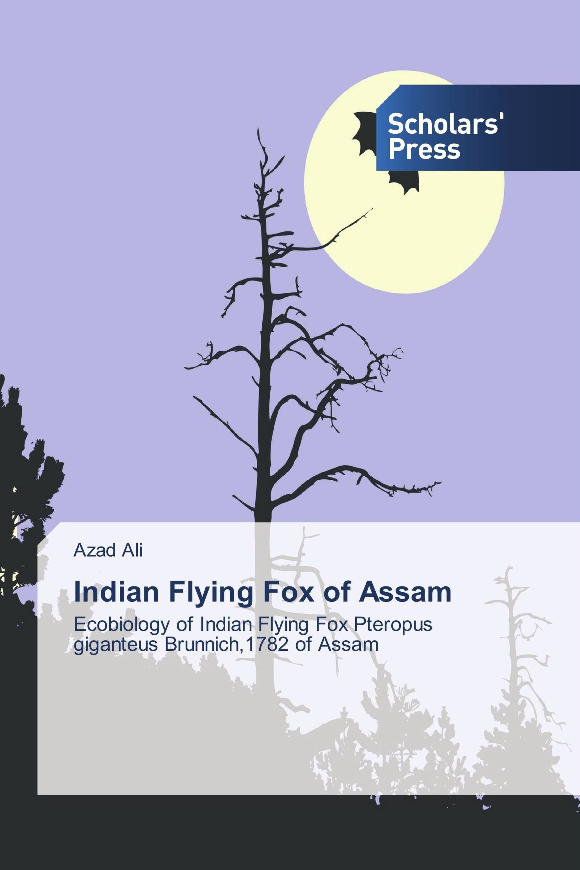 Indian Flying Fox of Assam