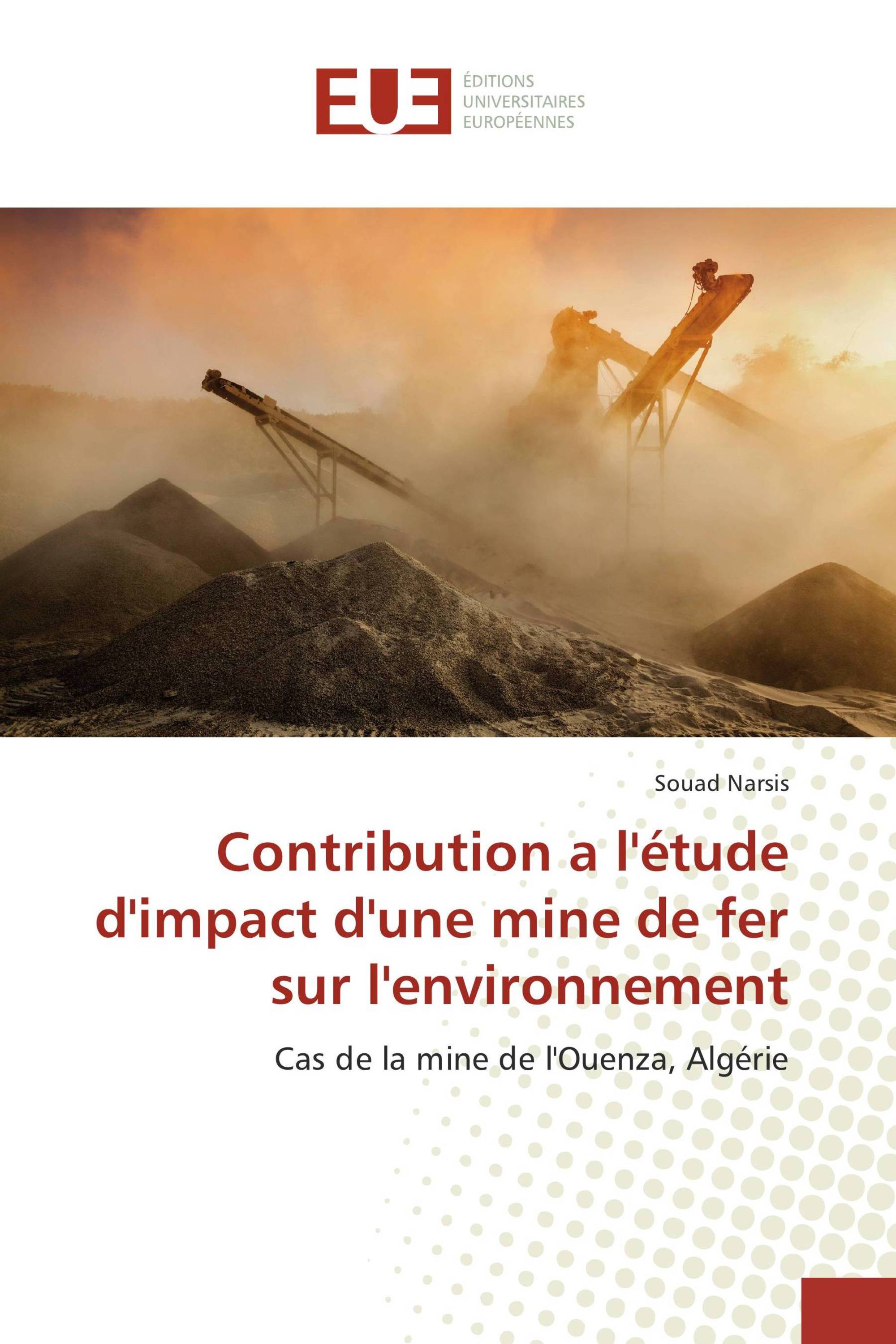 Contribution a l'étude d'impact d'une mine de fer sur l'environnement