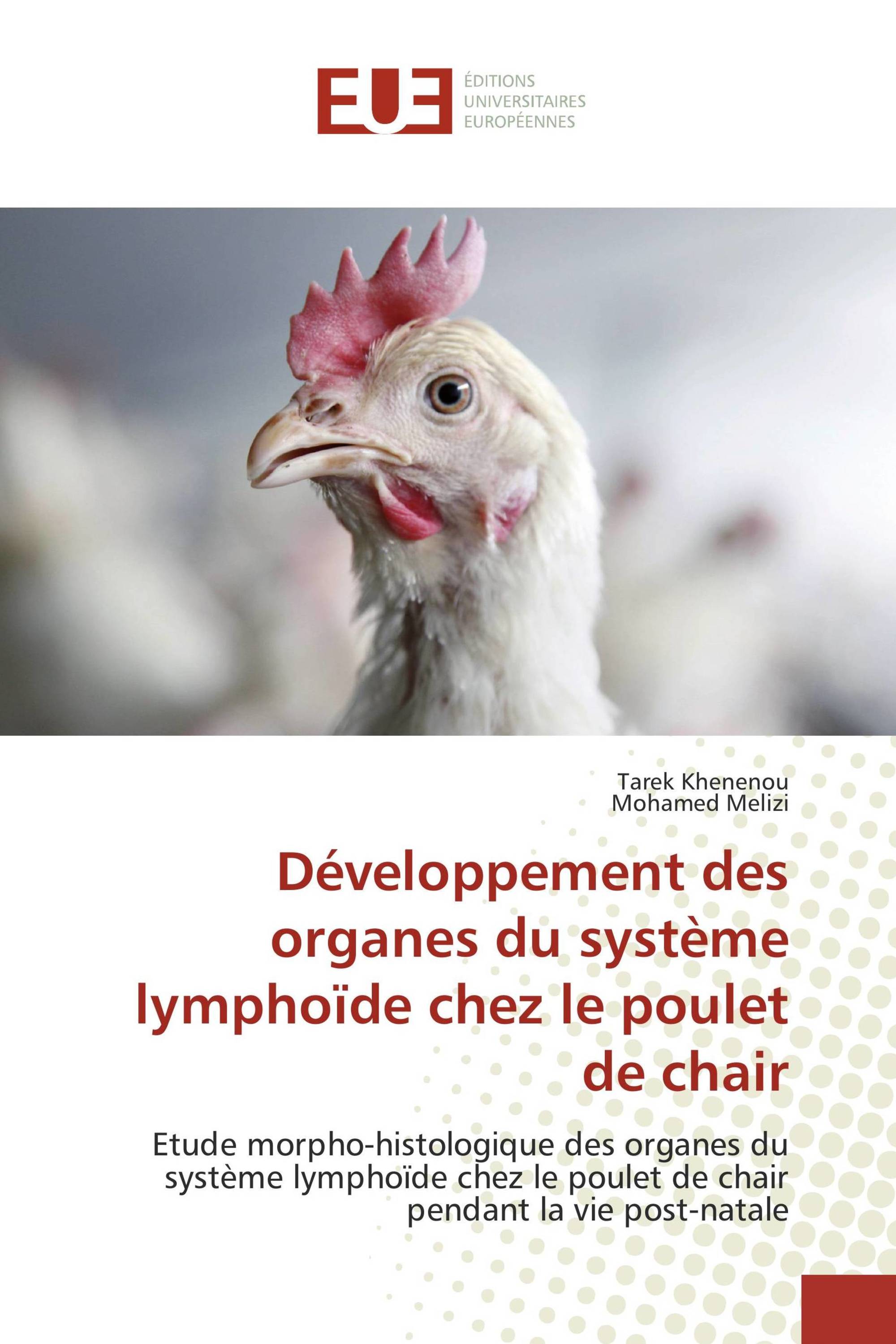 Développement des organes du système lymphoïde chez le poulet de chair