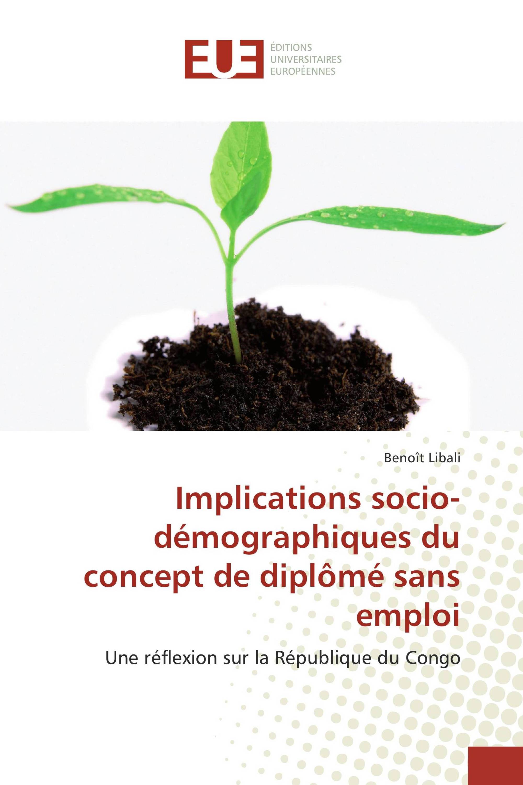 Implications socio-démographiques du concept de diplômé sans emploi