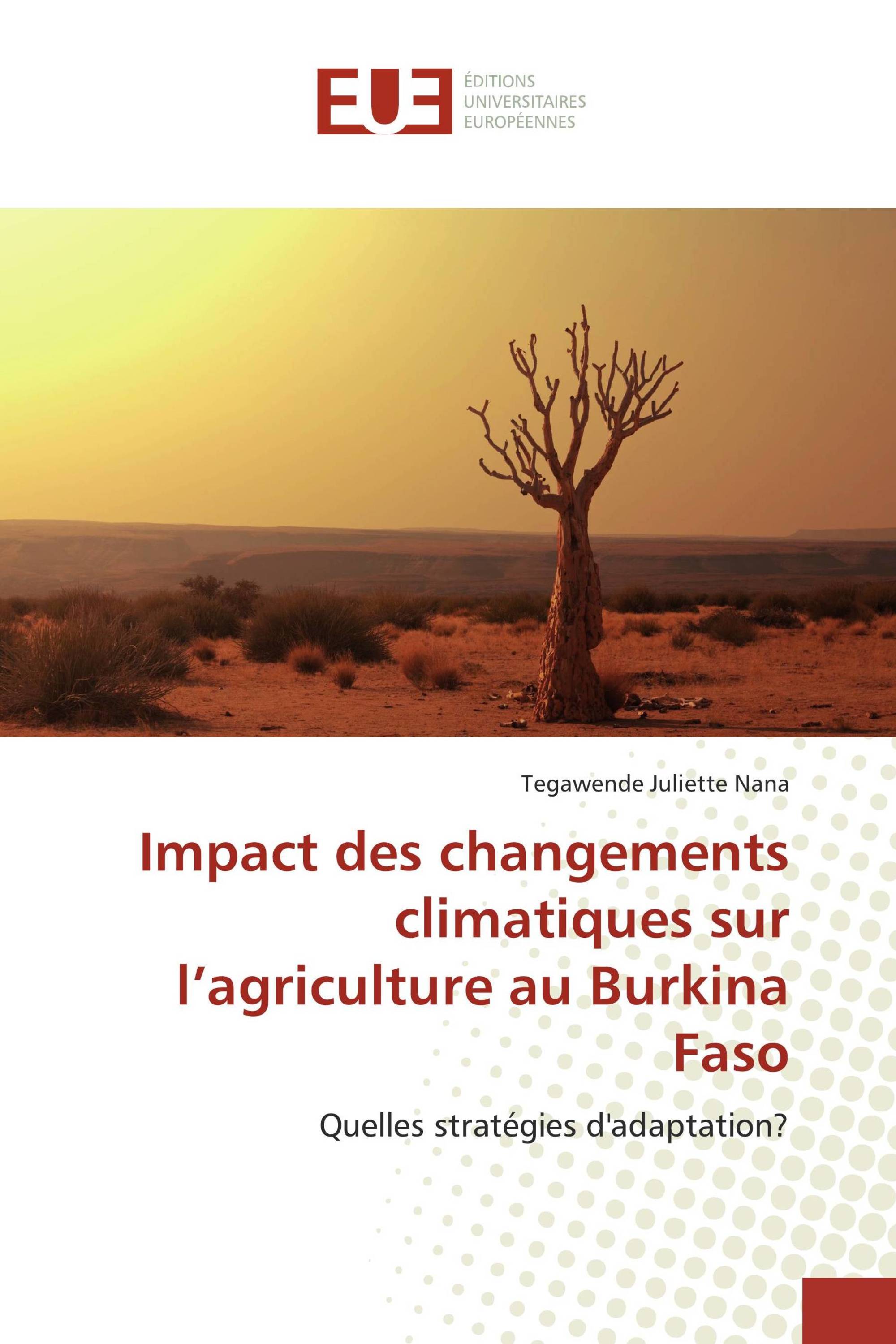 Impact des changements climatiques sur l’agriculture au Burkina Faso