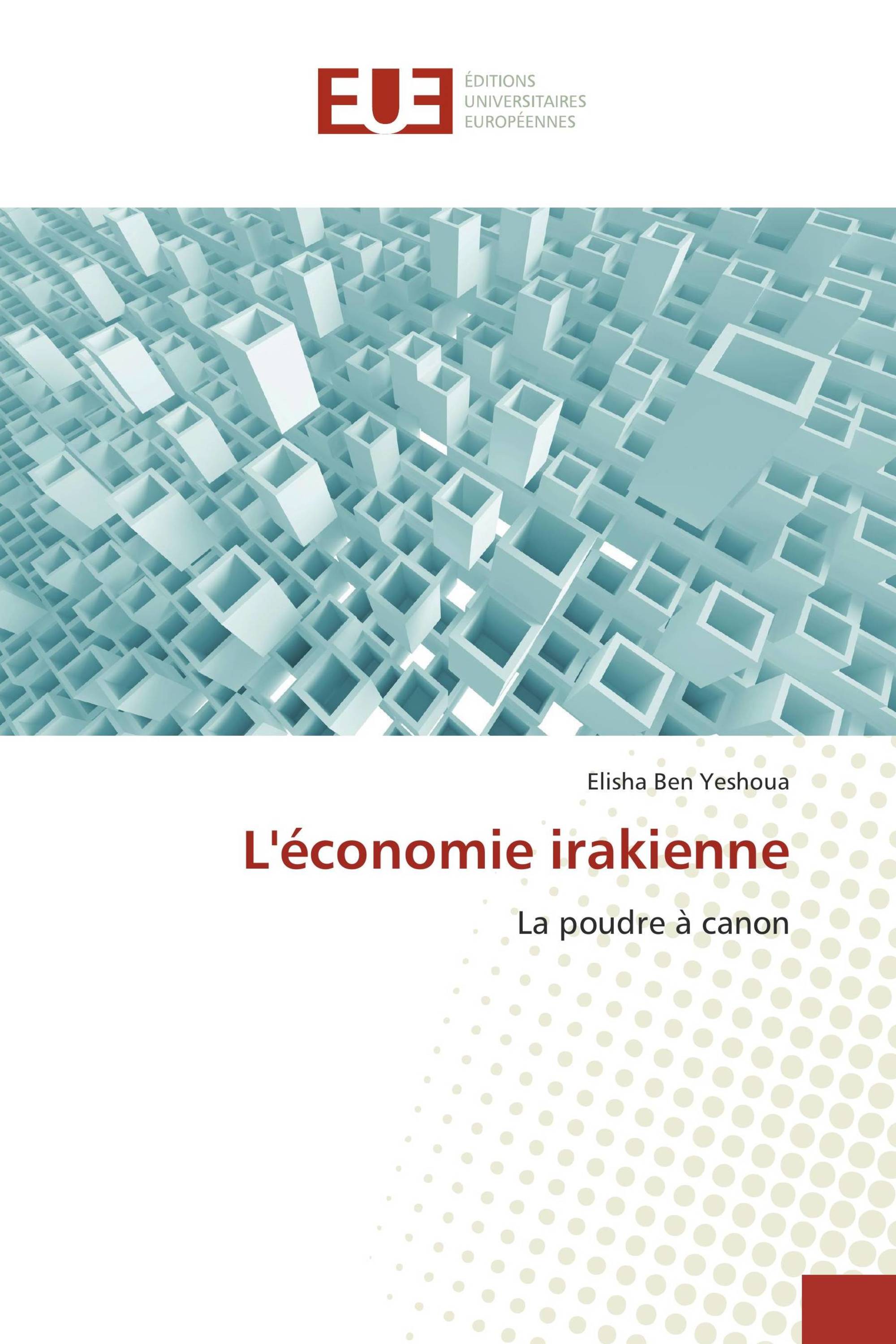 L'économie irakienne