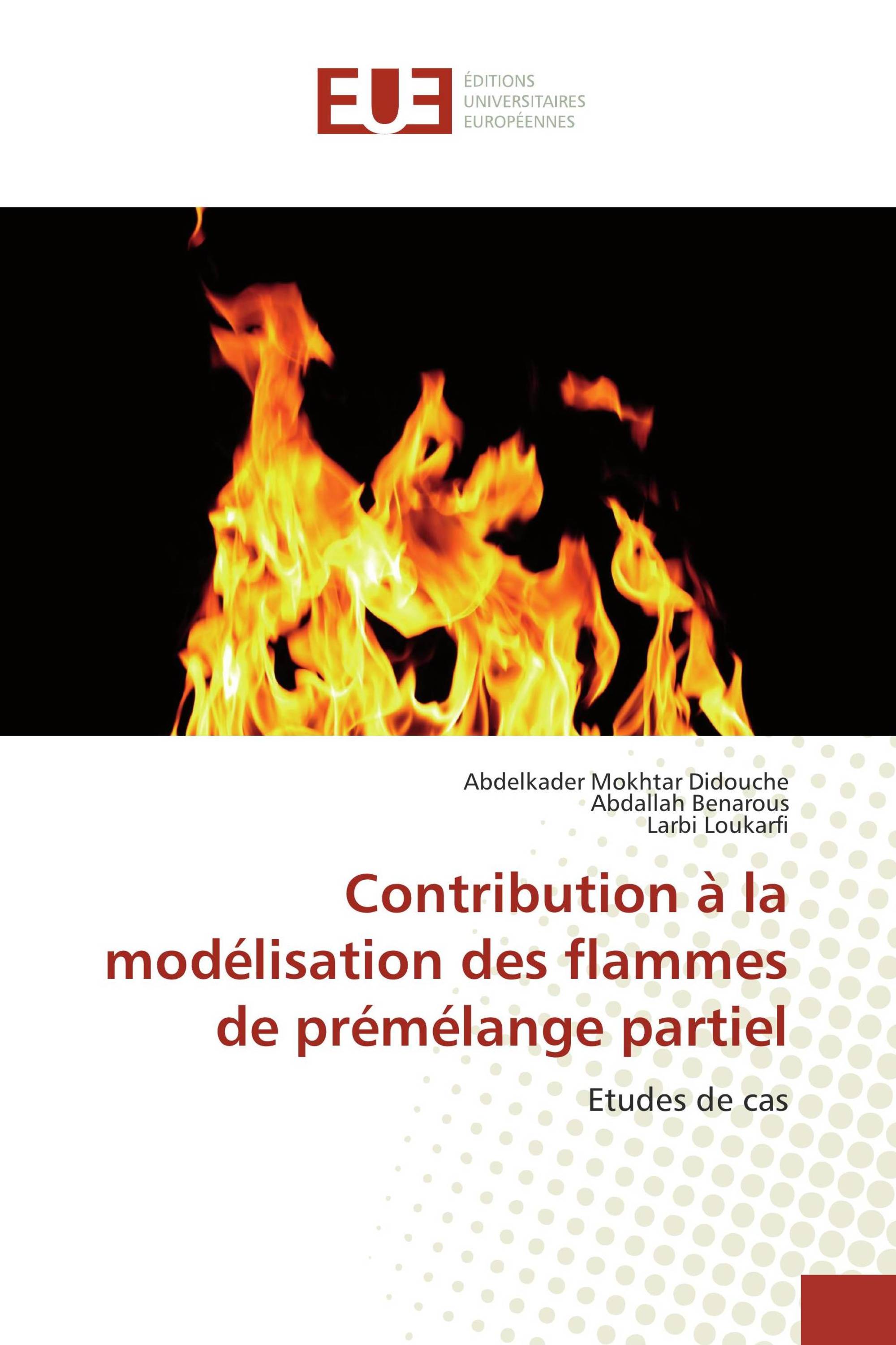 Contribution à la modélisation des flammes de prémélange partiel